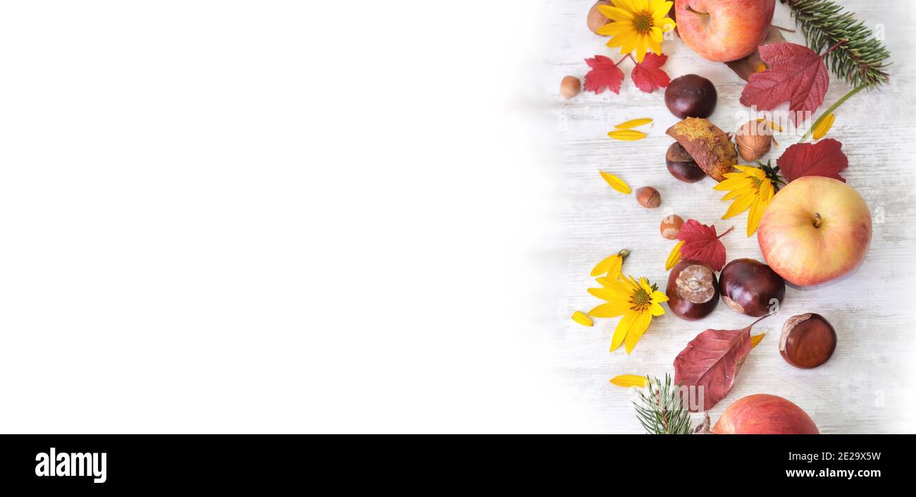 Rote Äpfel, braune, gelbe Blüten mit Blättern im herbstlichen Stillleben mit weißem Kopieplatz links Stockfoto
