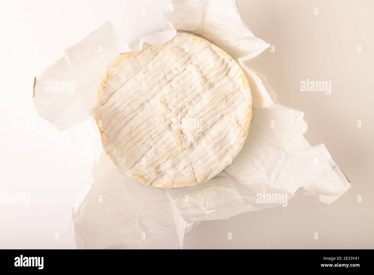 Ganzer Camembert-Käse Stockfoto