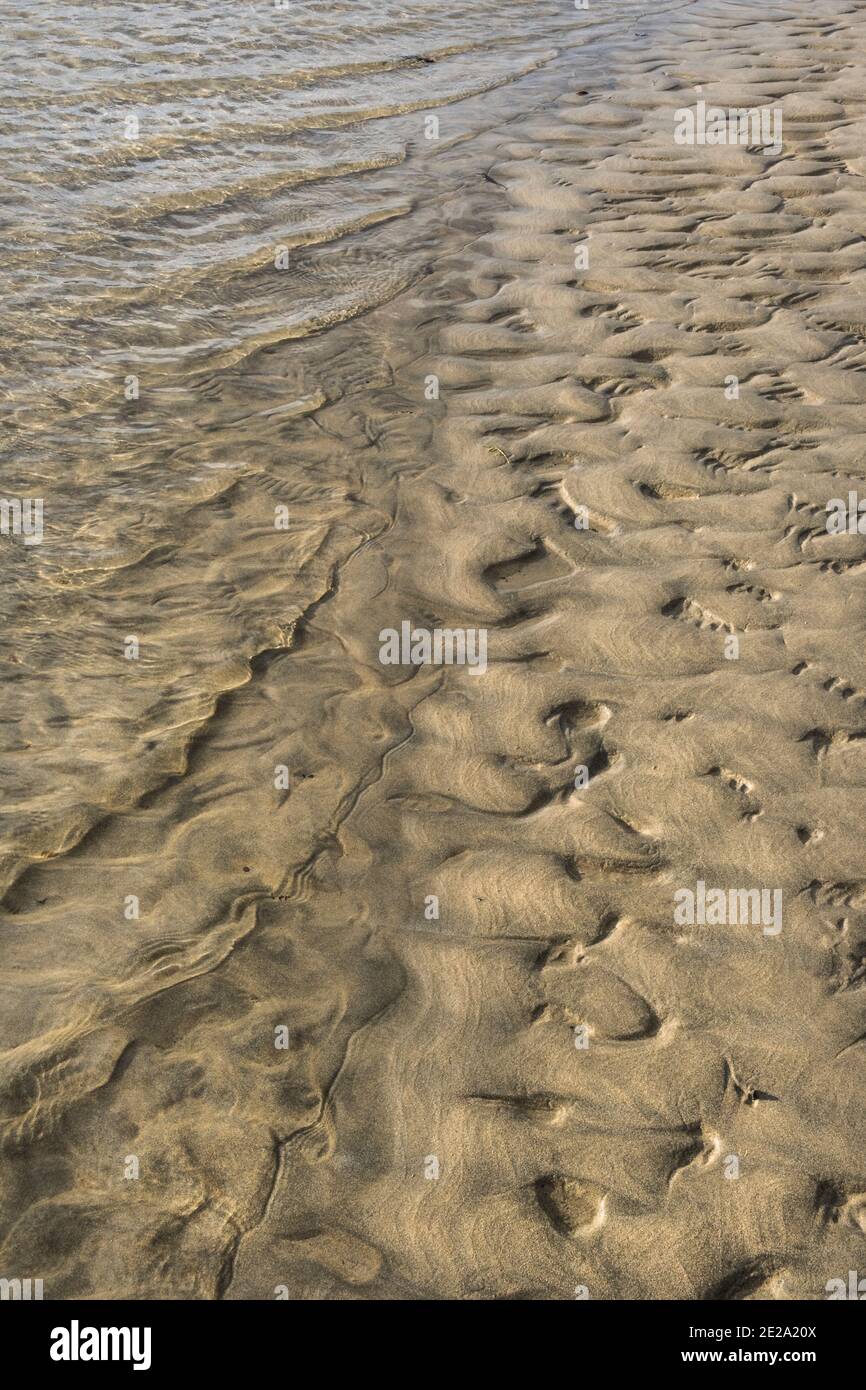 Das Wasser des Flusses Gannel, der über Sandkräuseln plätschert. Stockfoto