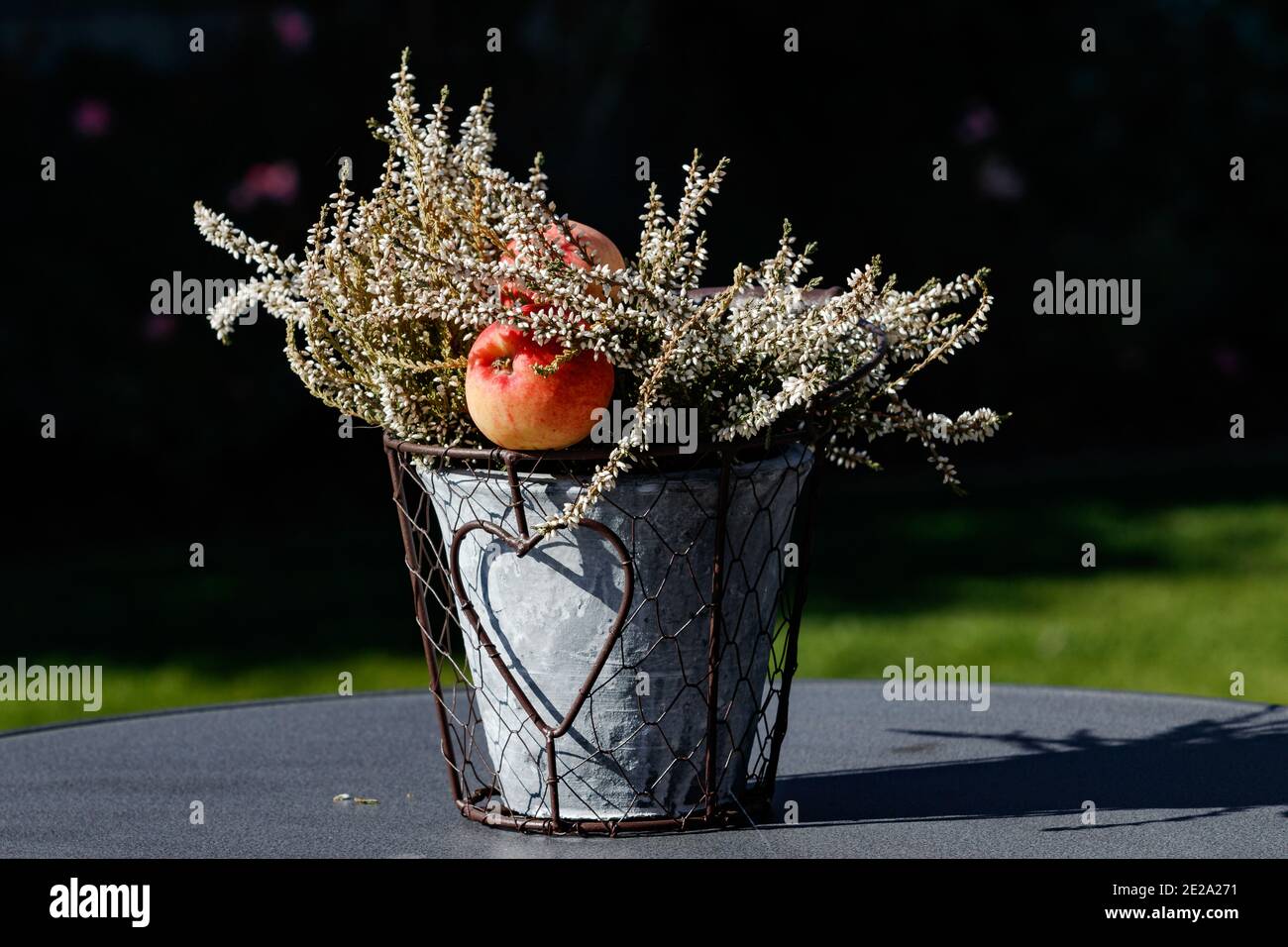 Behälter mit Apfel in Nahaufnahme Stockfoto