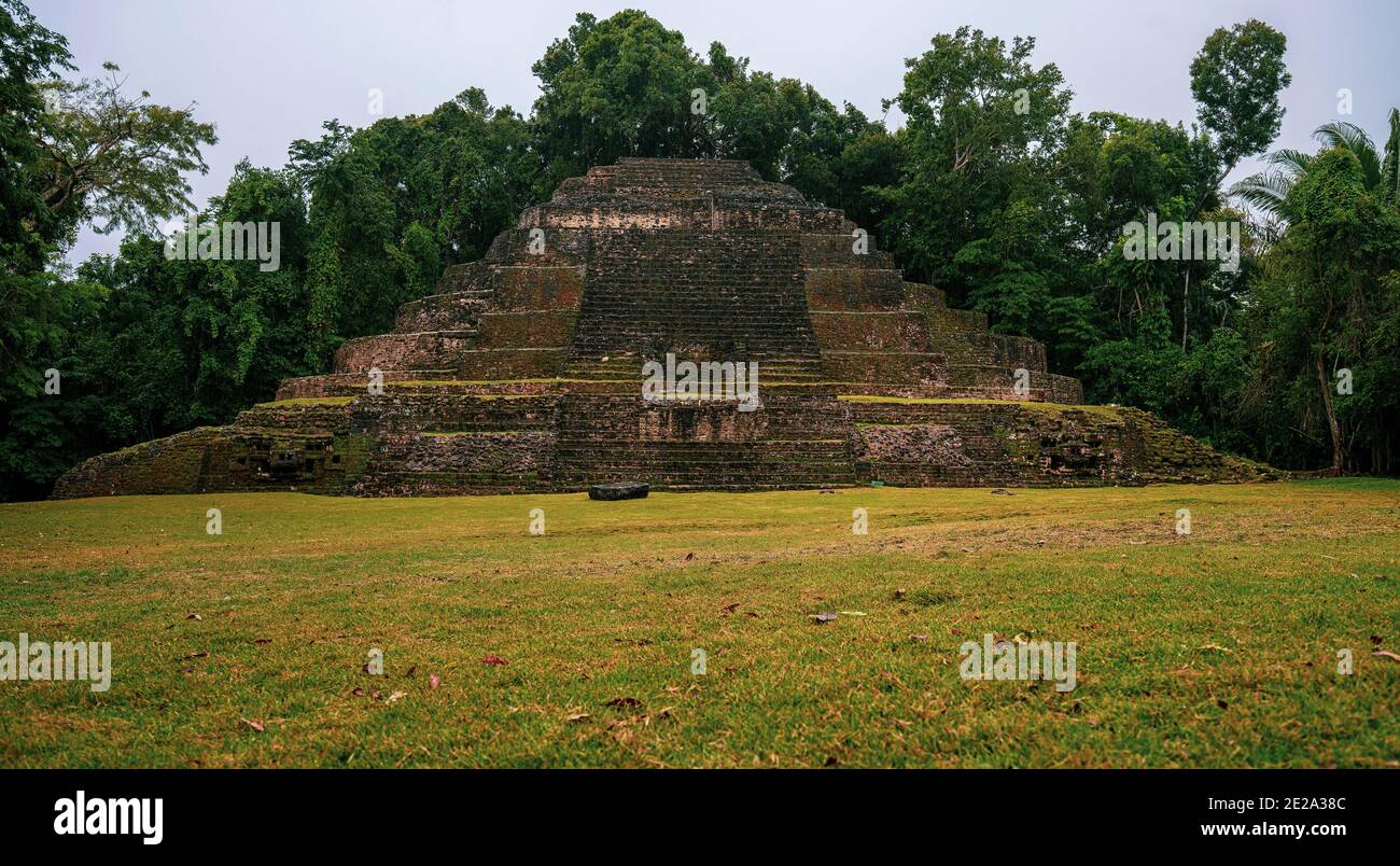 Die Maya-Ruinen von Lamanai in Belize. Stockfoto
