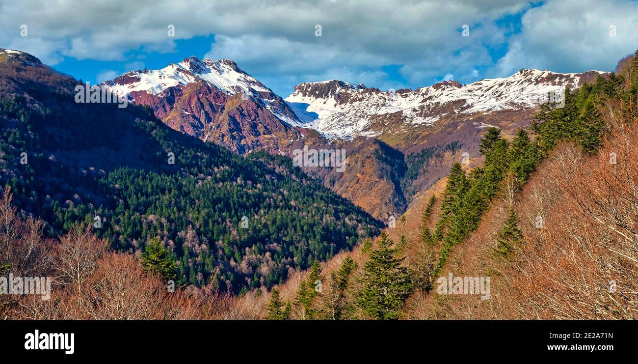 Aspe Valley, Nationalpark Pyrénées, Parc National des Pyrénées, Pyrénées-Atlantiques, Pyrenäen, Nouvelle-Aquitaine, Frankreich, Europa Stockfoto
