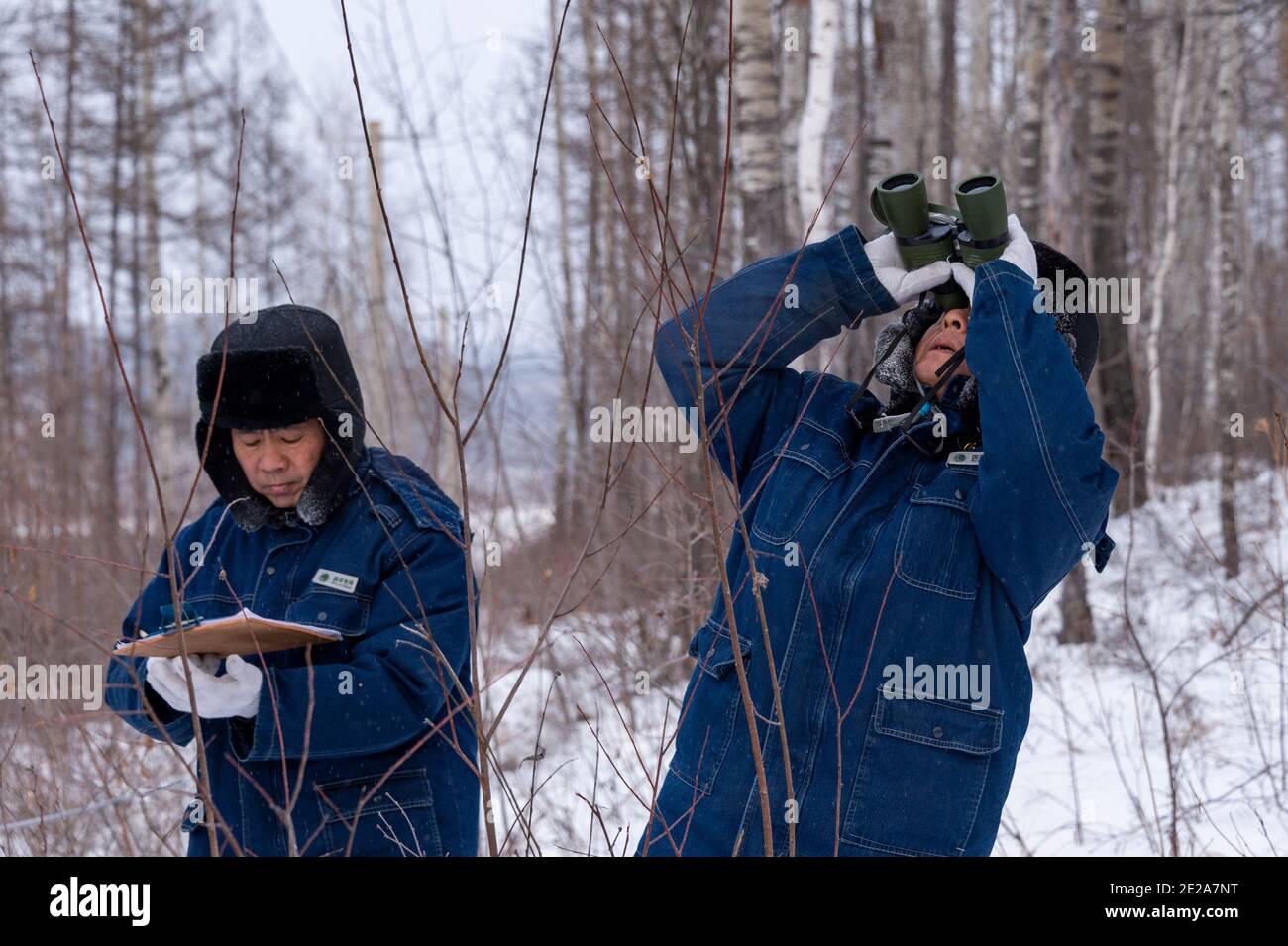 (210113) -- MOHE, 13. Januar 2021 (Xinhua) -- Lyu Jiansheng (R) und Wang Shaoting führen Stromlinienpatrouille im Wald in der Nähe des Dorfes Beiji der Stadt Mohe, nordöstlich der Provinz Heilongjiang, 12. Januar 2021. Das Dorf Beiji in Mohe City, der nördlichsten Stadt Chinas, konnte sich nur noch vor 2007 auf kleine Dieselgeneratoren zur Stromversorgung verlassen. Nach dem Anschluss an das Staatsnetz, Beiji Village Einrichtung der nördlichsten Stromversorgung in China, die Beiji Power Supply Station. Direktor Lyu Jiansheng und Zählerleser Wang Shaoting sind die einzigen zwei Mitarbeiter der Station, die ist Stockfoto