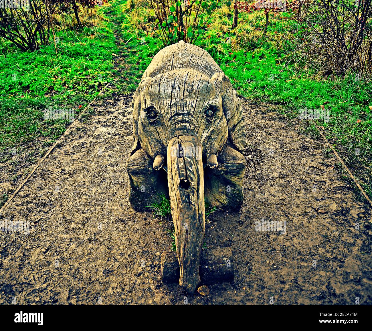 Holz geschnitztes Tier – Elefant Stockfoto