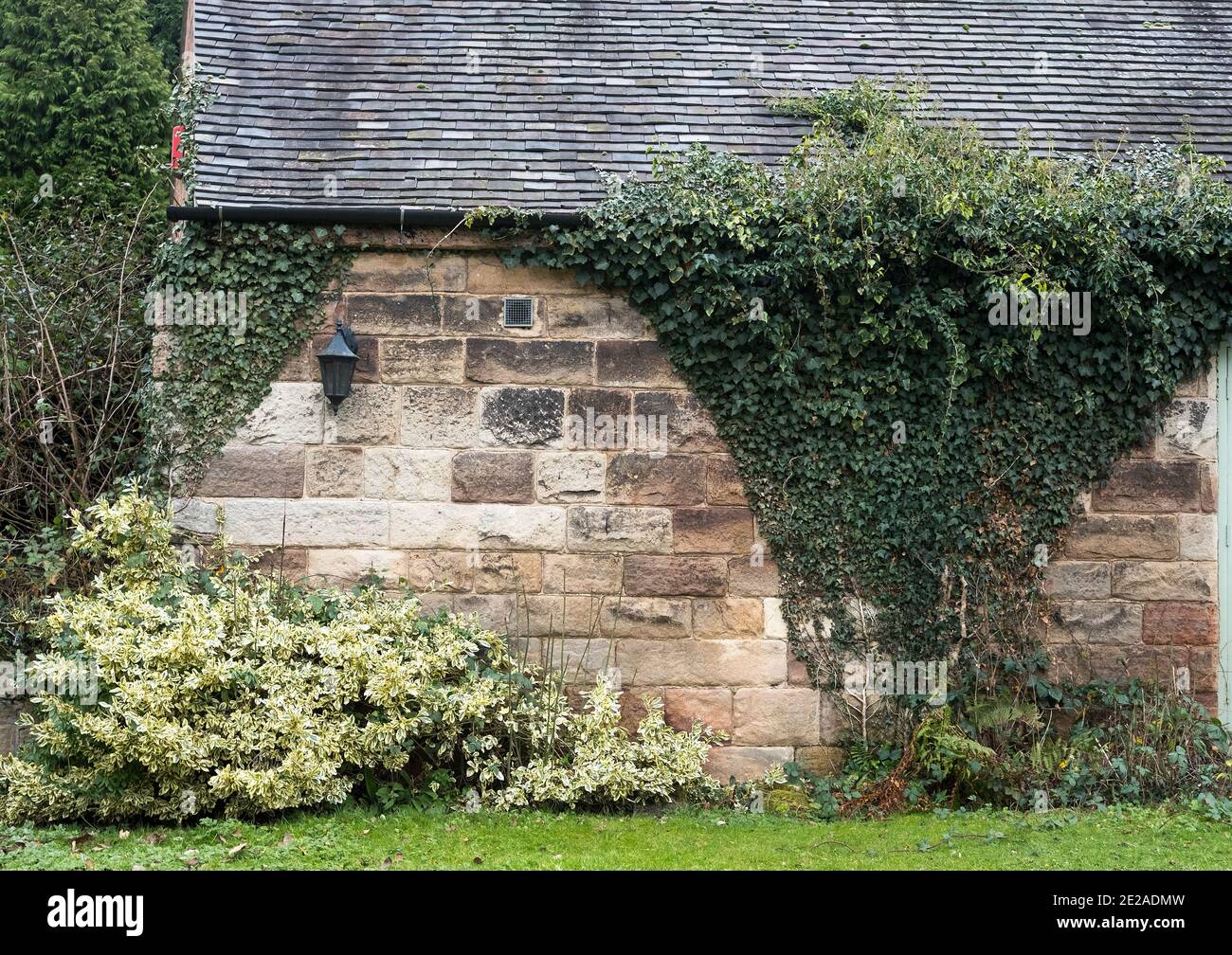 Ein niedriges Steingebäude mit Efeu an den Wänden Stockfoto