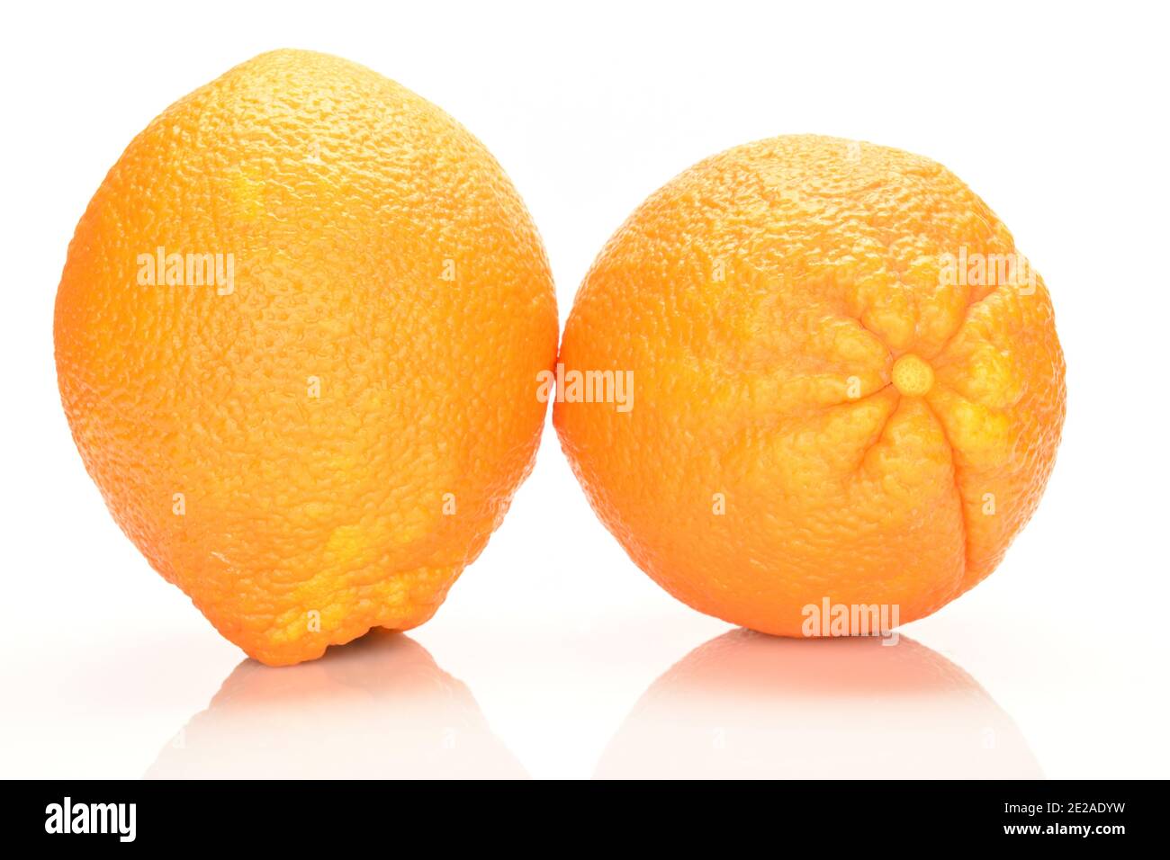 Zwei leuchtend orange ovale frische leckere reife aromatische Orange auf weißem Hintergrund. Stockfoto