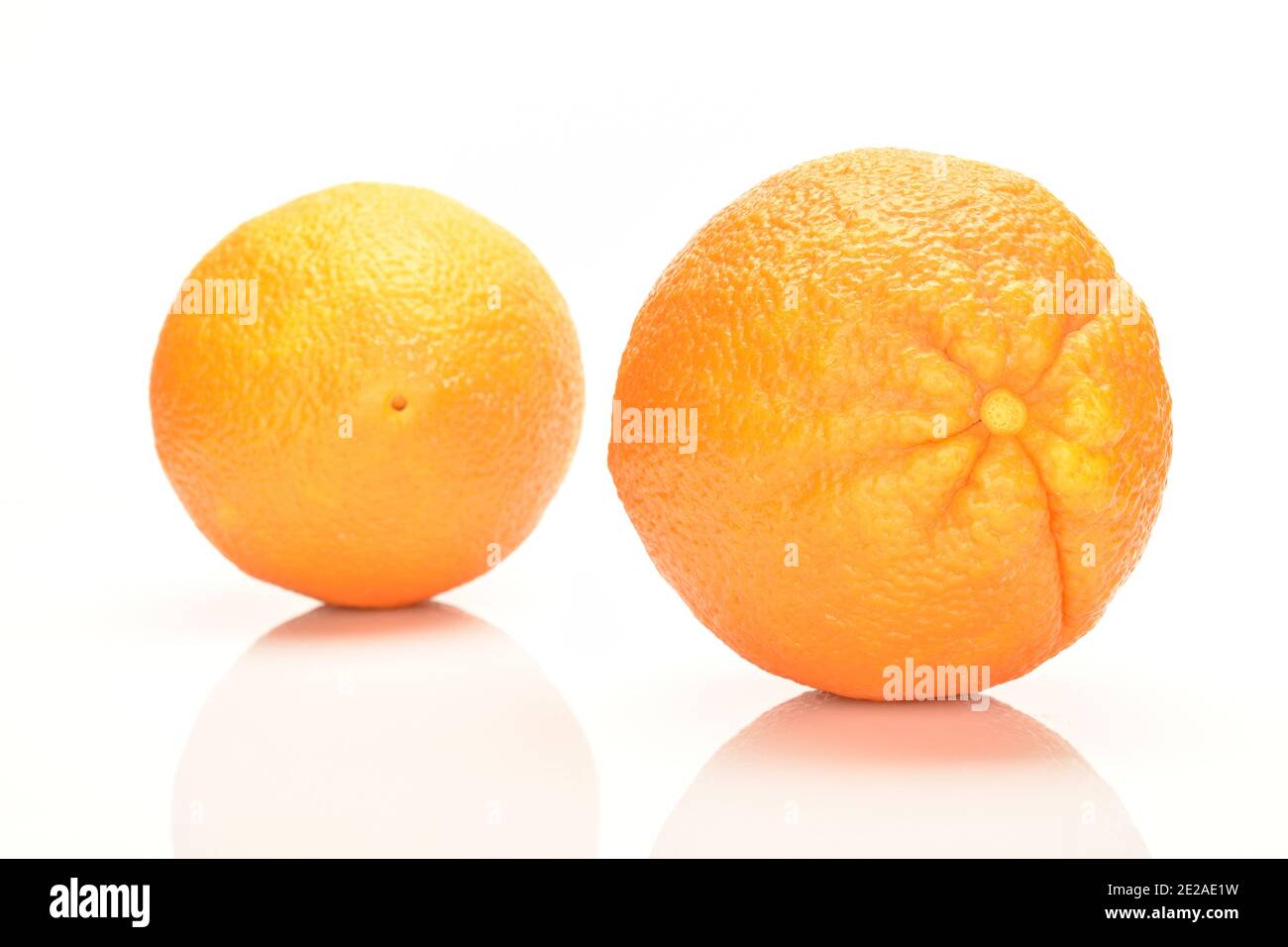Zwei leuchtend orange ovale frische leckere reife aromatische Orange auf weißem Hintergrund, eine im Fokus. Stockfoto