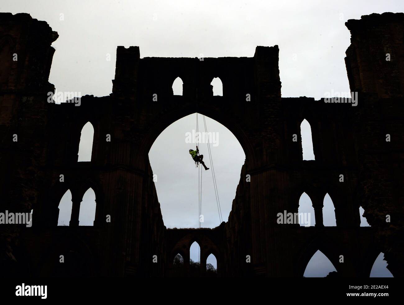 Der Steinmetz James Preston von SSH Conservation, abseils von Rievaulx Abbey in North Yorkshire als English Heritage bereitet sich auf die Durchführung von lebenswichtigen Naturschutzarbeiten vor. English Heritage beauftragt eine Untersuchung der Abtei Rievaulx in einem fünfjährigen Zyklus, um den Zustand der Abtei vom Boden bis zur Spitze der Struktur zu beurteilen. Stockfoto