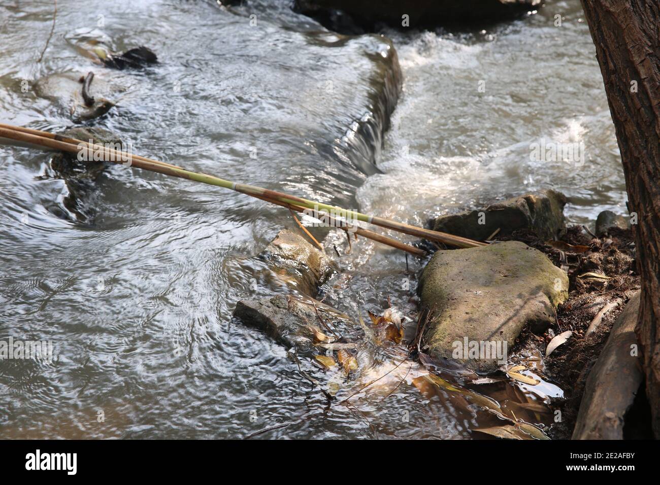 Abseits der ausgetretenen Pfade in Israel EIN natürlicher Weg weiter Die Ufer des Flusses Yarkon Stockfoto