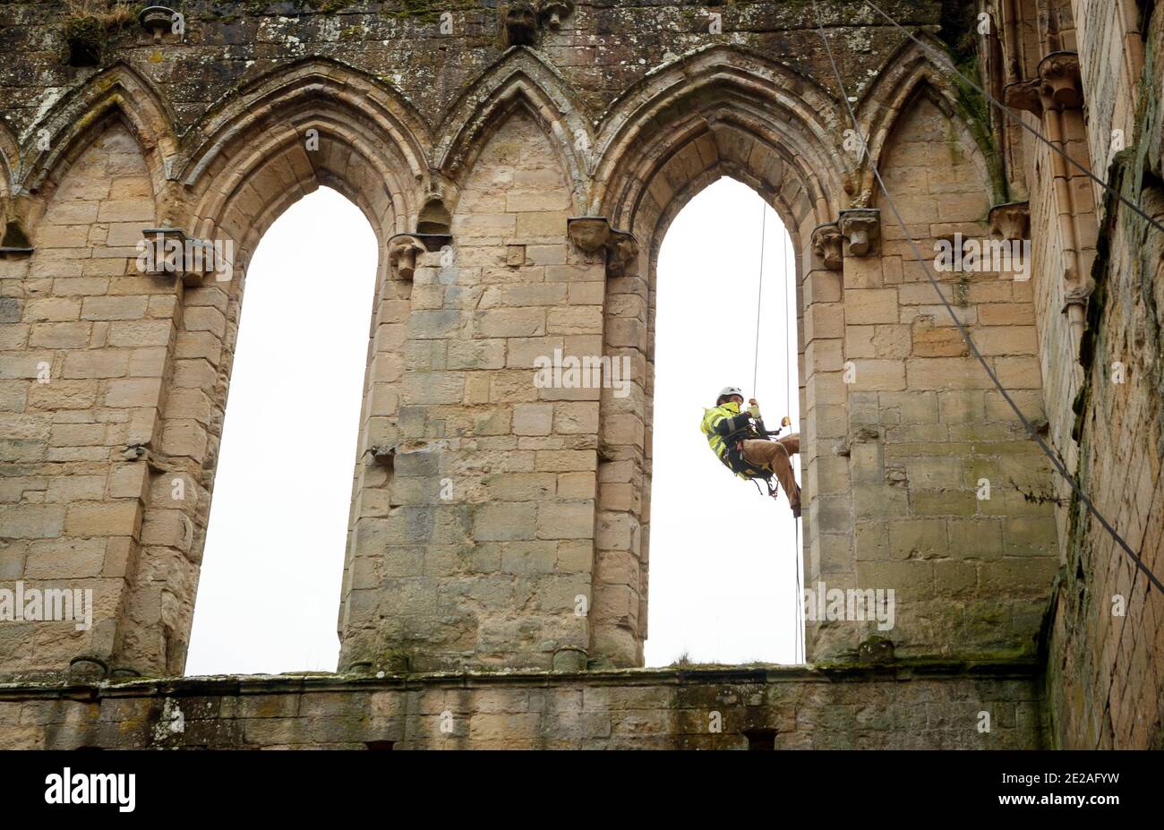 Der Steinmetz James Preston von SSH Conservation, abseils von Rievaulx Abbey in North Yorkshire als English Heritage bereitet sich auf die Durchführung von lebenswichtigen Naturschutzarbeiten vor. English Heritage beauftragt eine Untersuchung der Abtei Rievaulx in einem fünfjährigen Zyklus, um den Zustand der Abtei vom Boden bis zur Spitze der Struktur zu beurteilen. Stockfoto