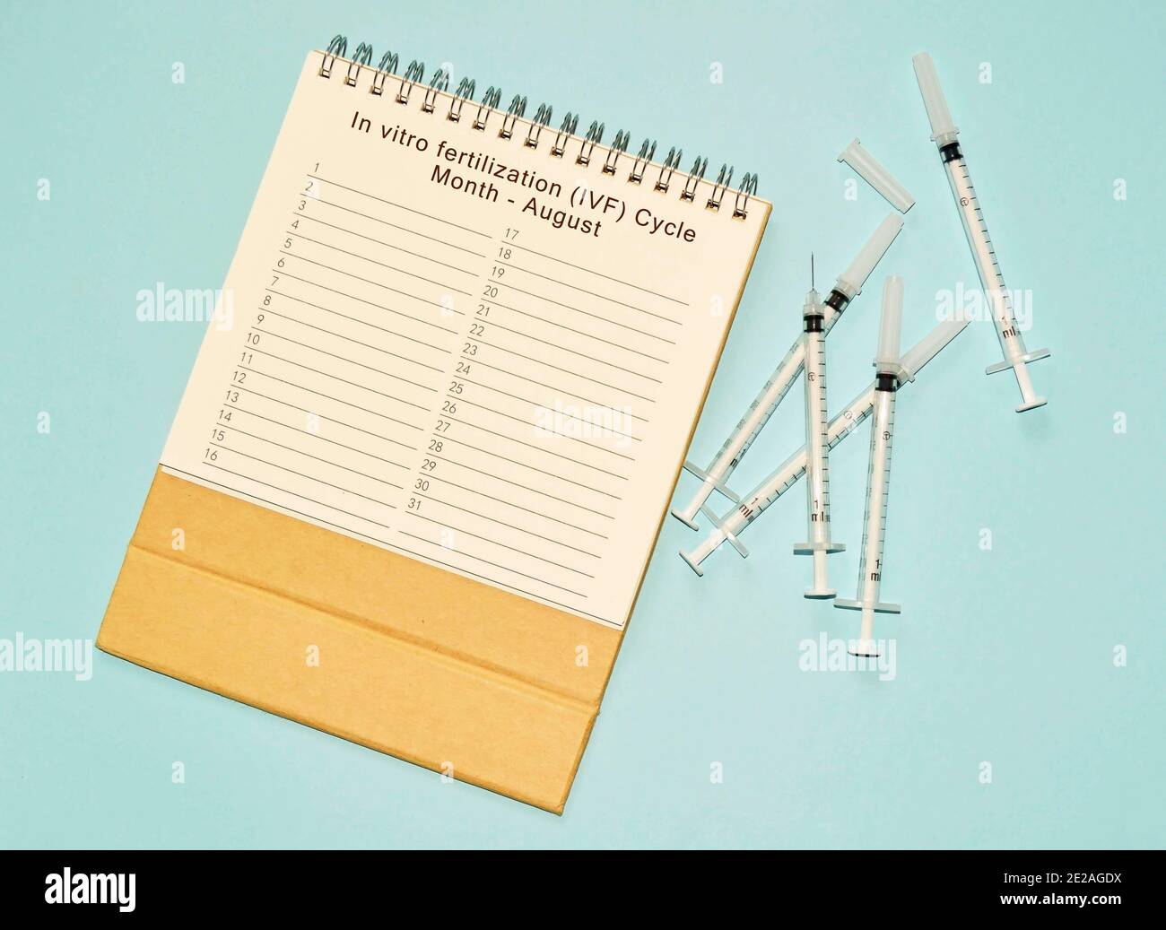 August IVF Zyklus Kalender und Einweg-Injektionsspritze auf blau Hintergrund Stockfoto