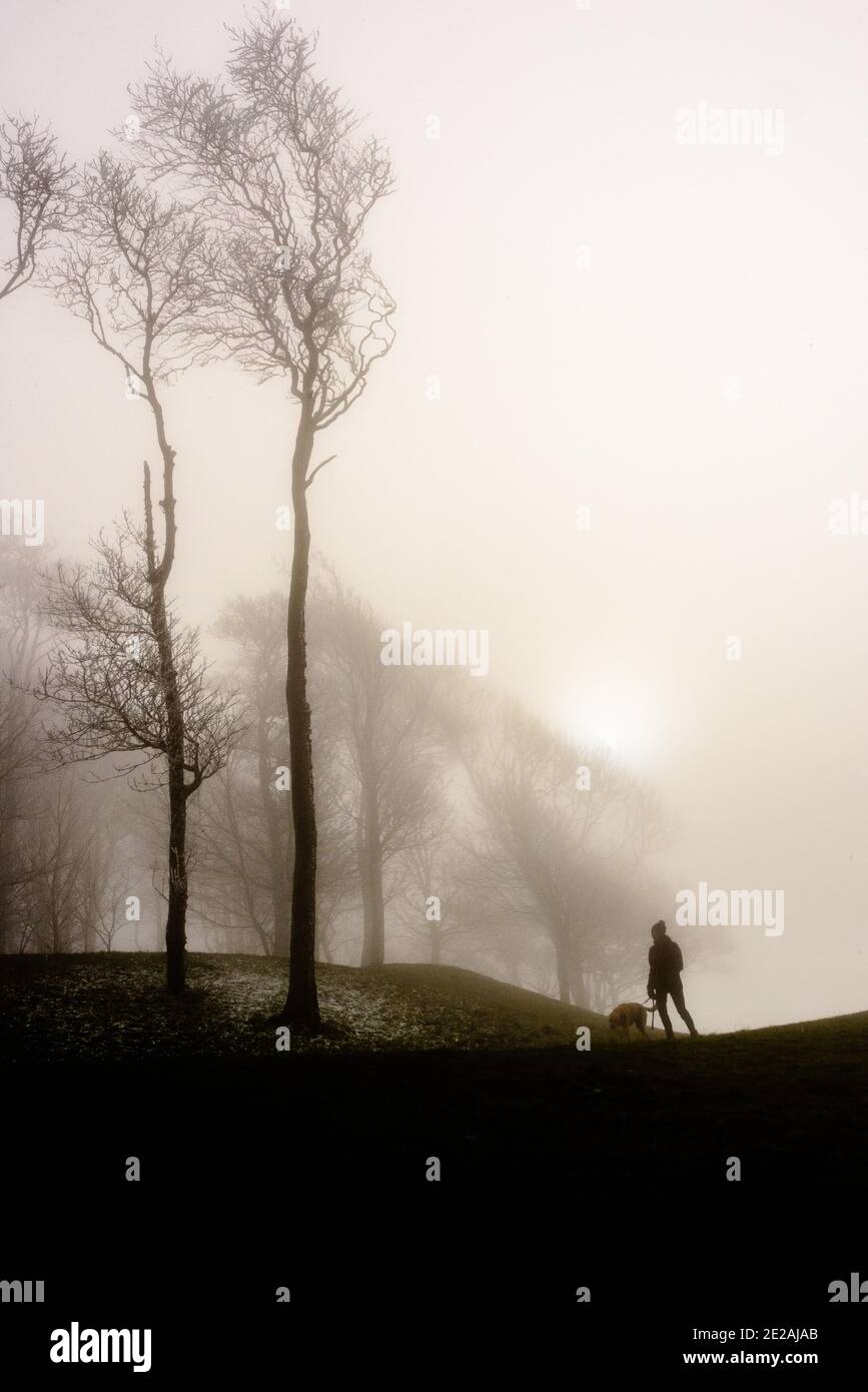Chanctonbury Ring, Sussex, Großbritannien. 9. JANUAR 2021 AUF dem South Downs Way am Chanctonbury Ring in Su WIRD EIN Hundespaziergänger gegen das Licht des Nebels silhouettiert Stockfoto