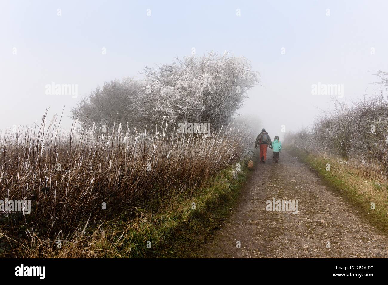 Chanctonbury Ring, Sussex, Großbritannien. 9. JANUAR 2021 Erwachsener und Kind mit Hund beim Spaziergang im Nebel auf dem South Downs Way in der Nähe von Chanctonbury Ring in Sussex Stockfoto