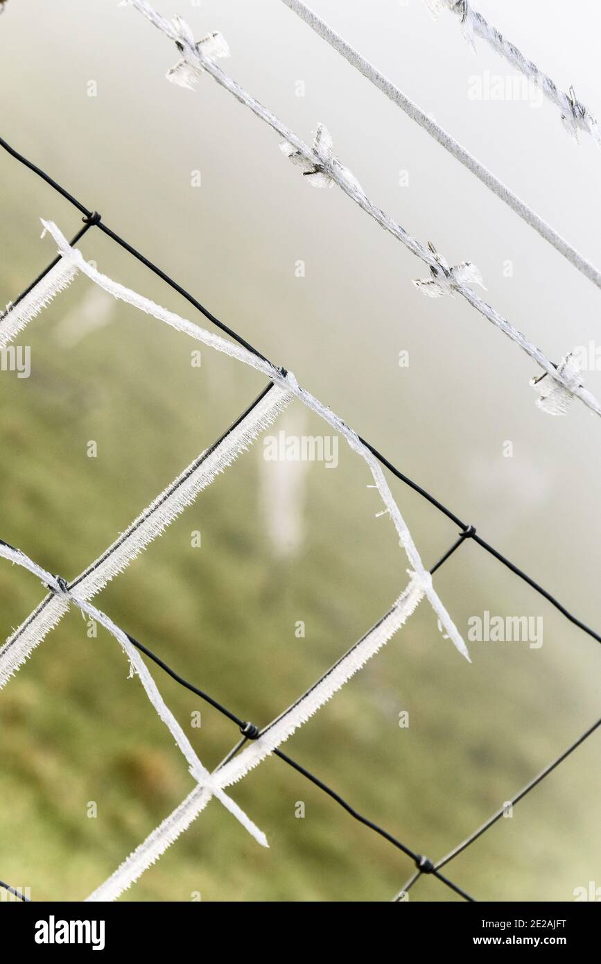 Chanctonbury Ring, Sussex, Großbritannien. 9. JANUAR 2021 Windgeblasene Eiskristalle, die sich auf dem Zaun bilden, schmelzen auf dem South Downs Way nahe dem Chanctonbury Ring in Sus Stockfoto