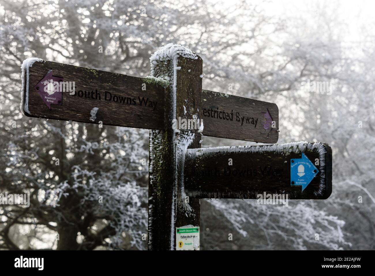 Chanctonbury Ring, Sussex, Großbritannien. 9. JANUAR 2021 EIN Schild auf dem South Downs Way in der Nähe des Chanctonbury Ring in Sussex mit windgeblasenen Eiskristallen bedeckt. Stockfoto
