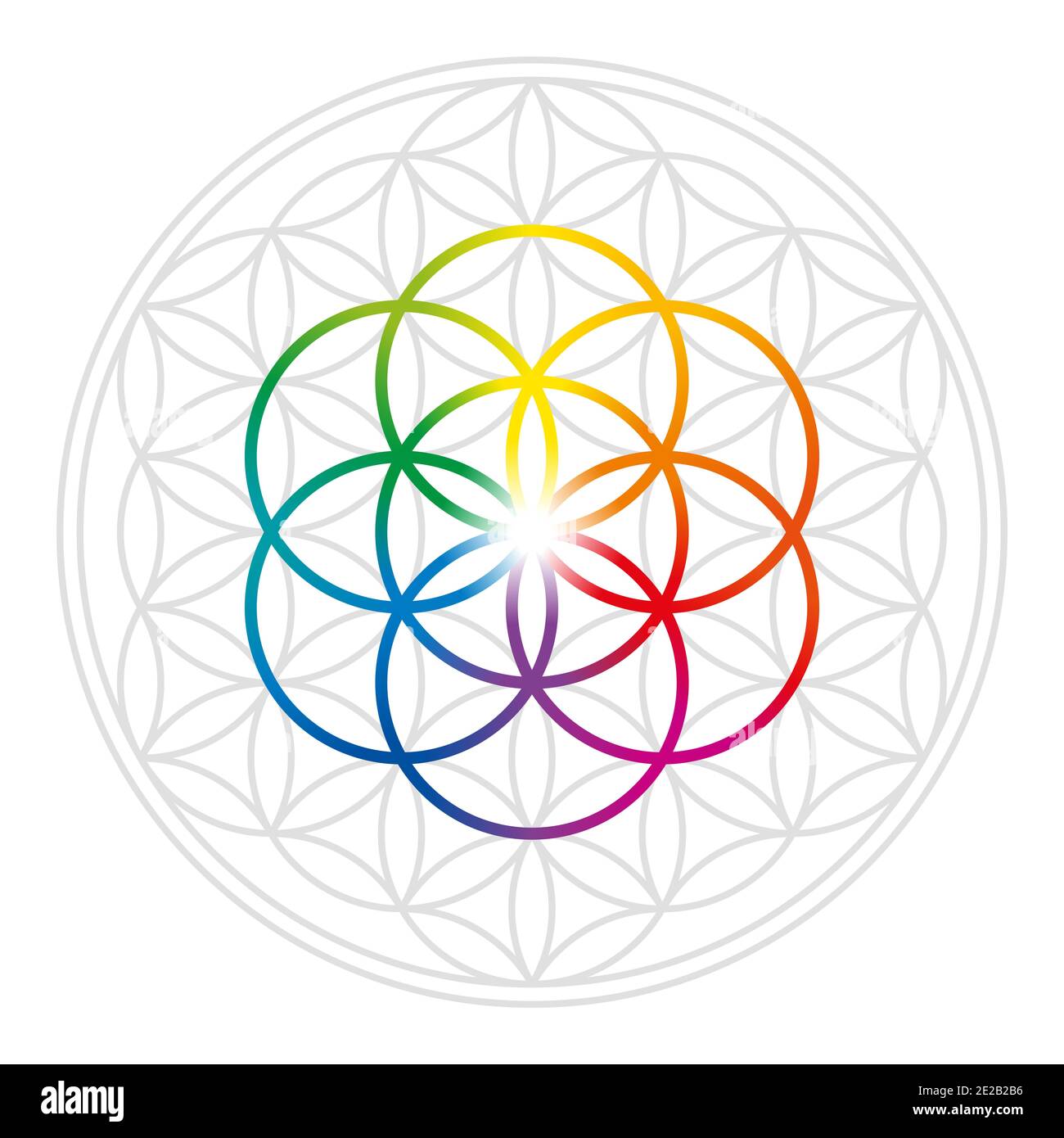 Regenbogenfarben Samen des Lebens in grau Blume des Lebens. Geometrische Figuren und spirituelle Symbole der Heiligen Geometrie. Stockfoto