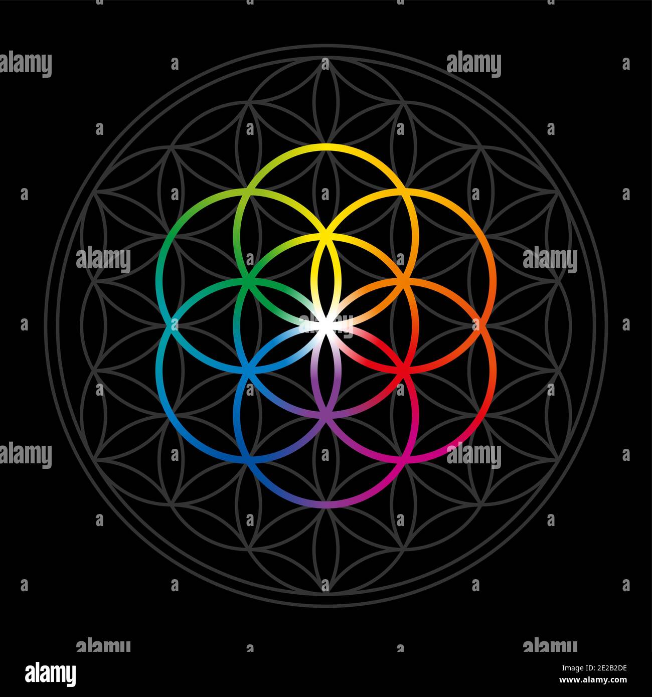 Regenbogenfarben Samen des Lebens in grau Blume des Lebens über schwarz. Geometrische Figuren und spirituelle Symbole der Heiligen Geometrie. Stockfoto