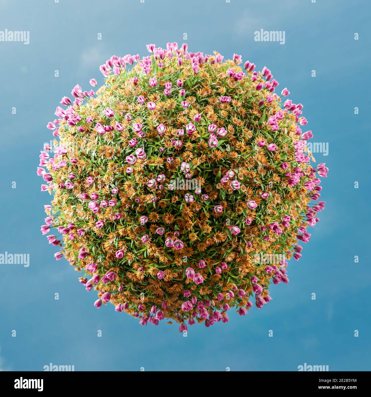 3D-Rendering der Kugel mit frischem Rosa und Orange bedeckt Blumen gegen blauen Himmel - Little Planet Konzept Stockfoto