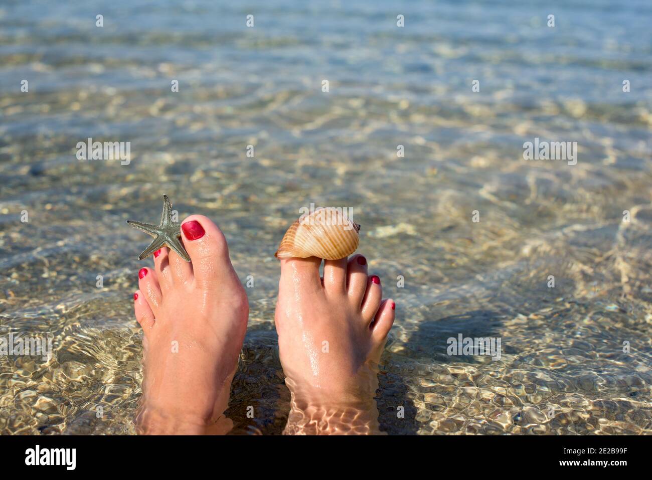 Frauenfüße mit einer Pediküre, die am Strand im Wasser eingetaucht sind. Es gibt einen Seesterne und eine Muschel auf den großen Zehen Stockfoto