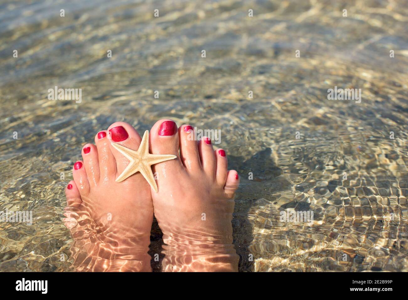 Frauenfüße mit einer Pediküre, die am Strand im Wasser eingetaucht sind. Auf den großen Zehen befindet sich ein Seestern Stockfoto