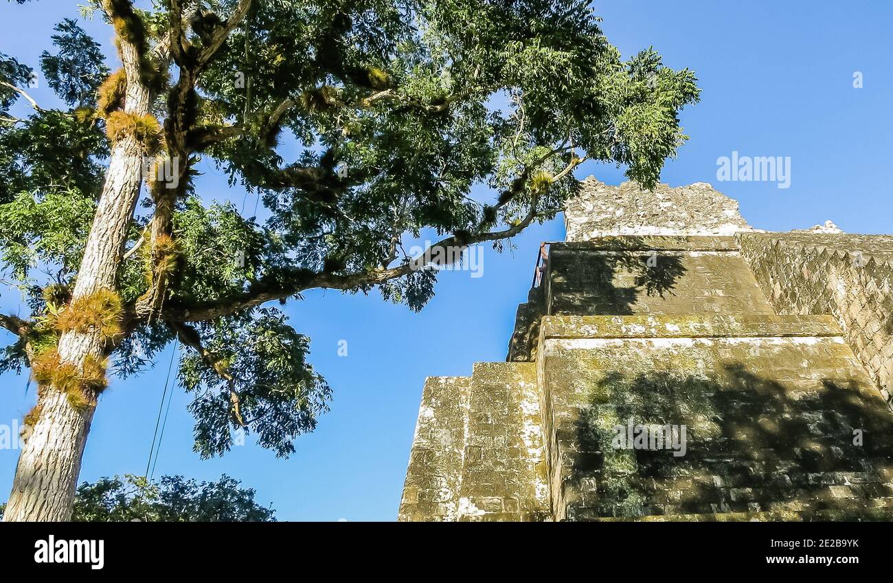 Tempel der Masken, El Petén, Grand Plaza, Tikal National Park, Yucatan, Guatemala Stockfoto