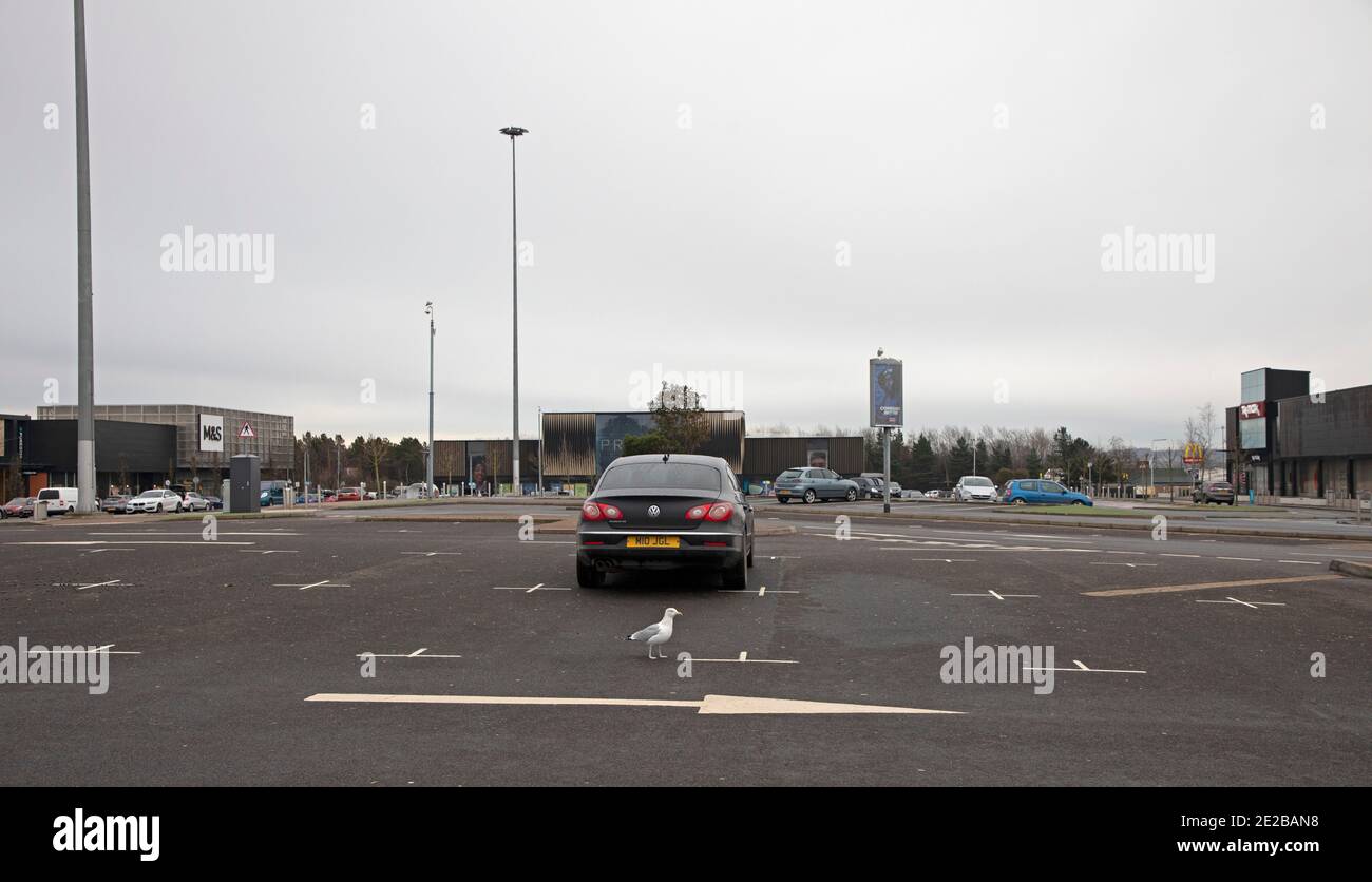 Edinburgh, Schottland, Großbritannien. Januar 2021. Aufgrund der Auswirkungen der Covid-19 Lockdown, am frühen Nachmittag, in der Nähe von leeren Parkplätzen in Fort Kinnaird Newcraighall Einkaufszentrum mit wenigen, wenn überhaupt Käufer sichtbar. Quelle: Arch White/Alamy Live News Stockfoto