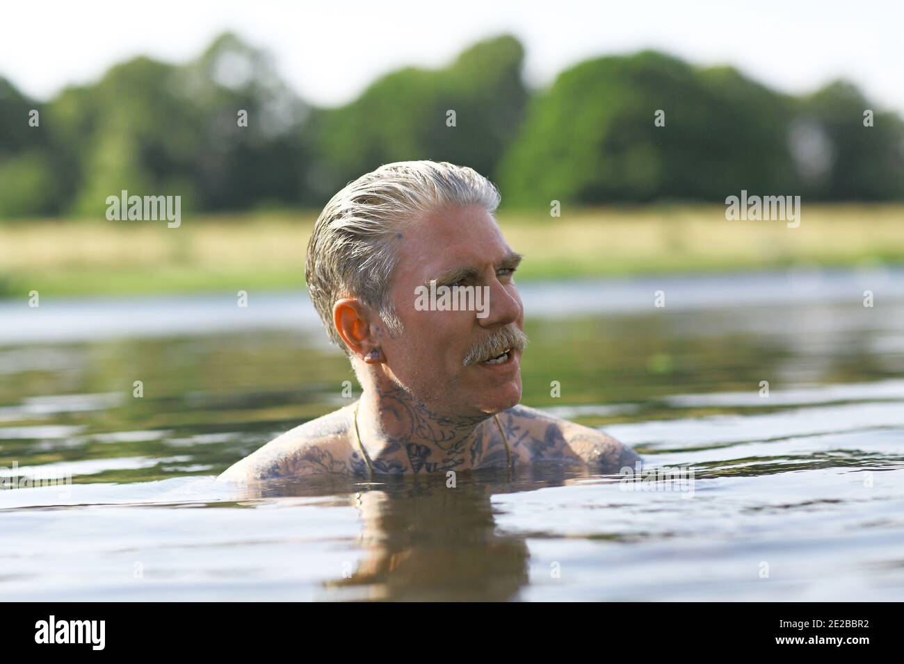 Wildschwimmer am syon Park Lake, albury Estate, brentford, middlesex, großbritannien Stockfoto