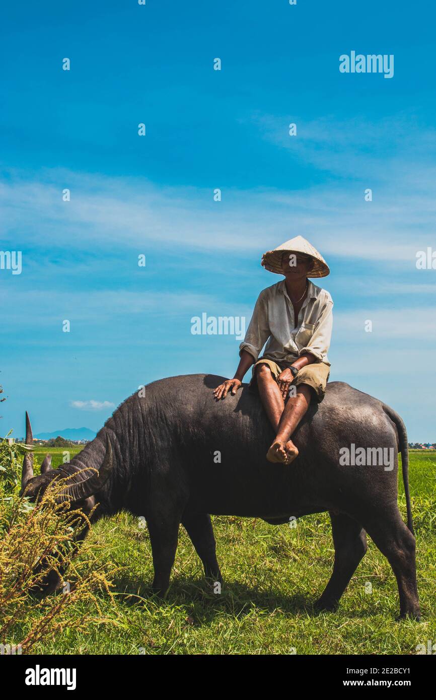 Vietnamesische Arbeitnehmer Stockfoto