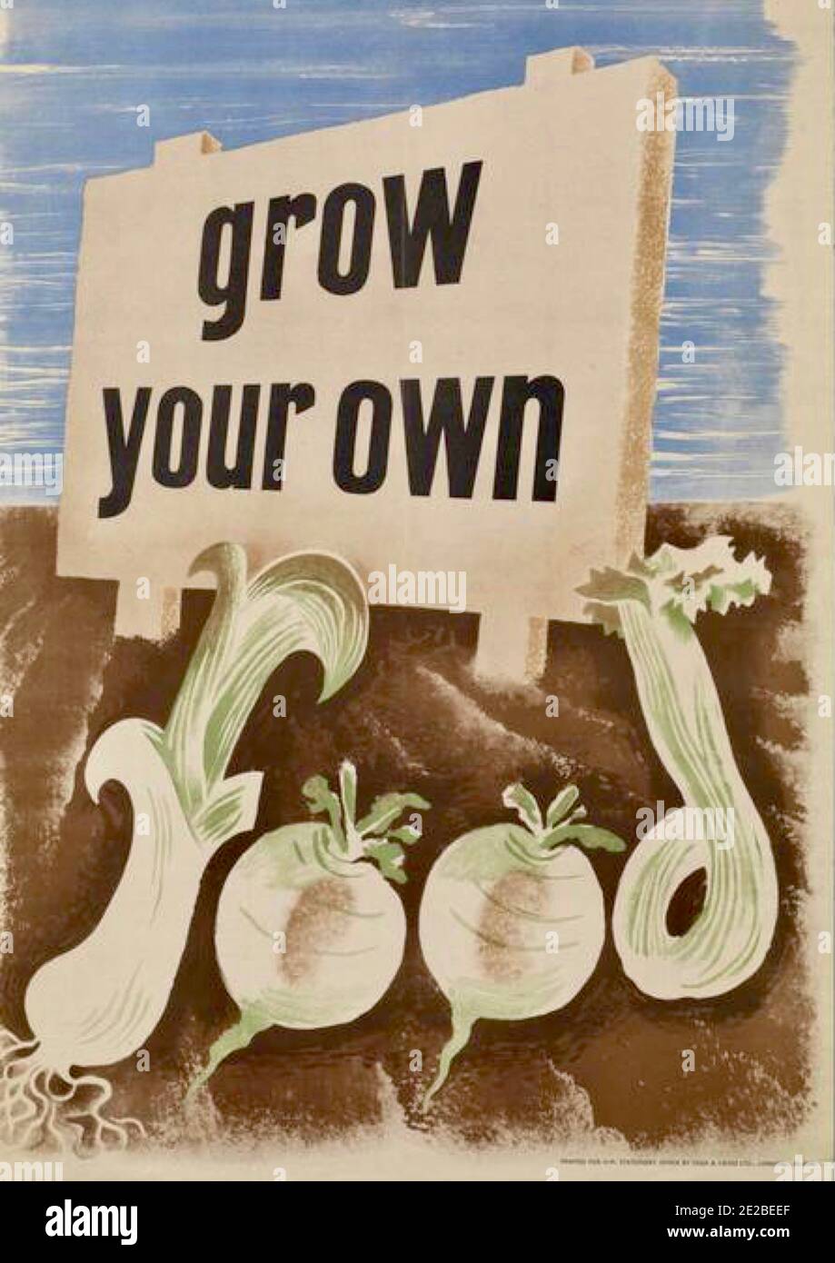 Öffentliches Informationsplakat der britischen Regierung aus dem Zweiten Weltkrieg, das die Menschen ermutigt, ihre eigenen Lebensmittel anzubauen. Stockfoto