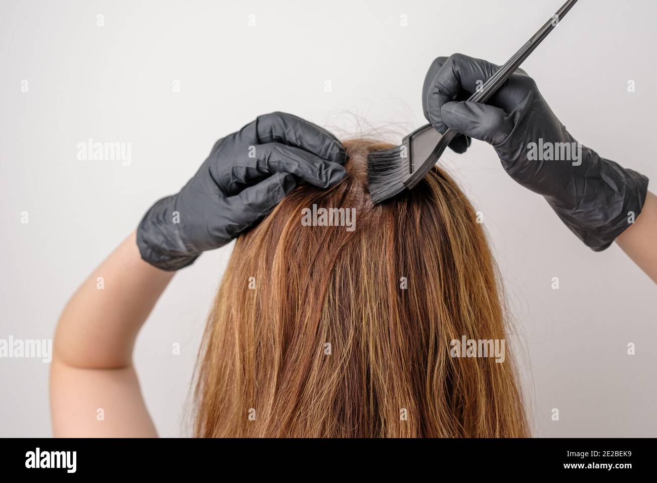 Frau färben Haarwurzeln mit einem Pinsel. Färben von grauen Haarwurzeln mit  einer komplexen Haarfärbung oder Balayage zu Hause Stockfotografie - Alamy