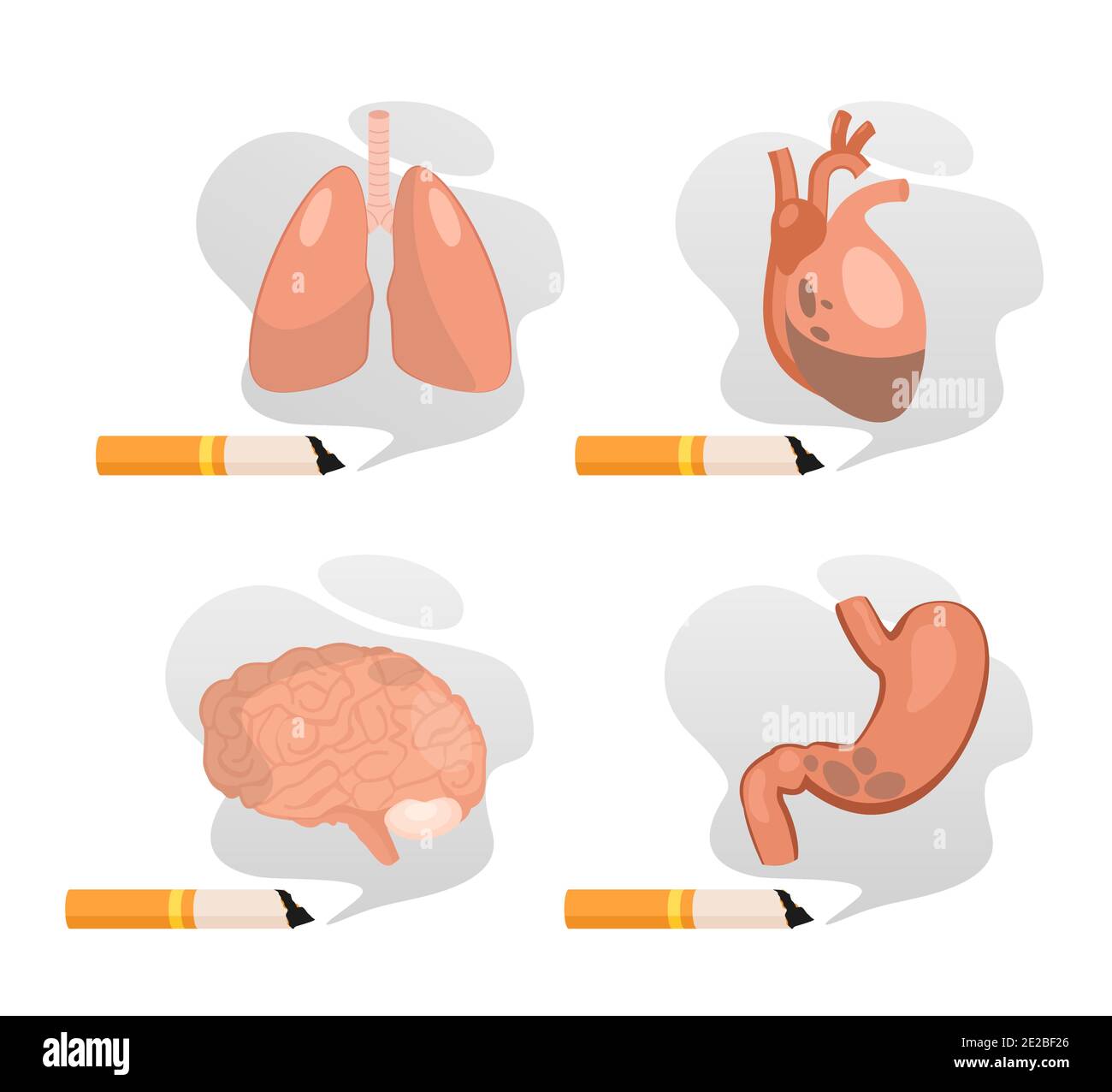 Schädigung des Rauchens der Lunge Magen Gehirn Herz gesetzt, aufhören zu rauchen isoliert auf weiß Stock Vektor