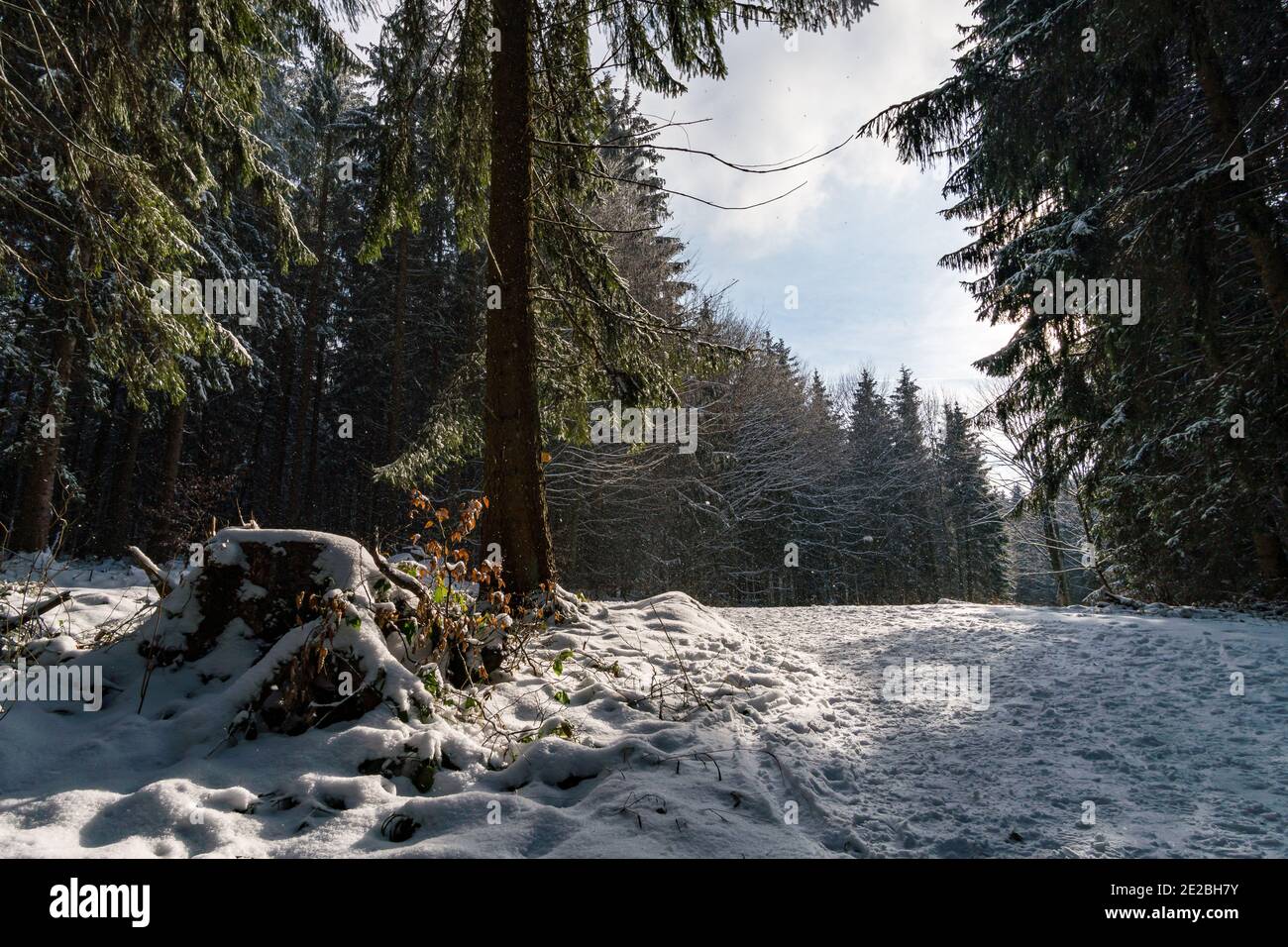 Traumhafte verschneite Winterlandschaft bei Heiligenberg am Bodensee, zum Skifahren, Rodeln und Wandern Stockfoto