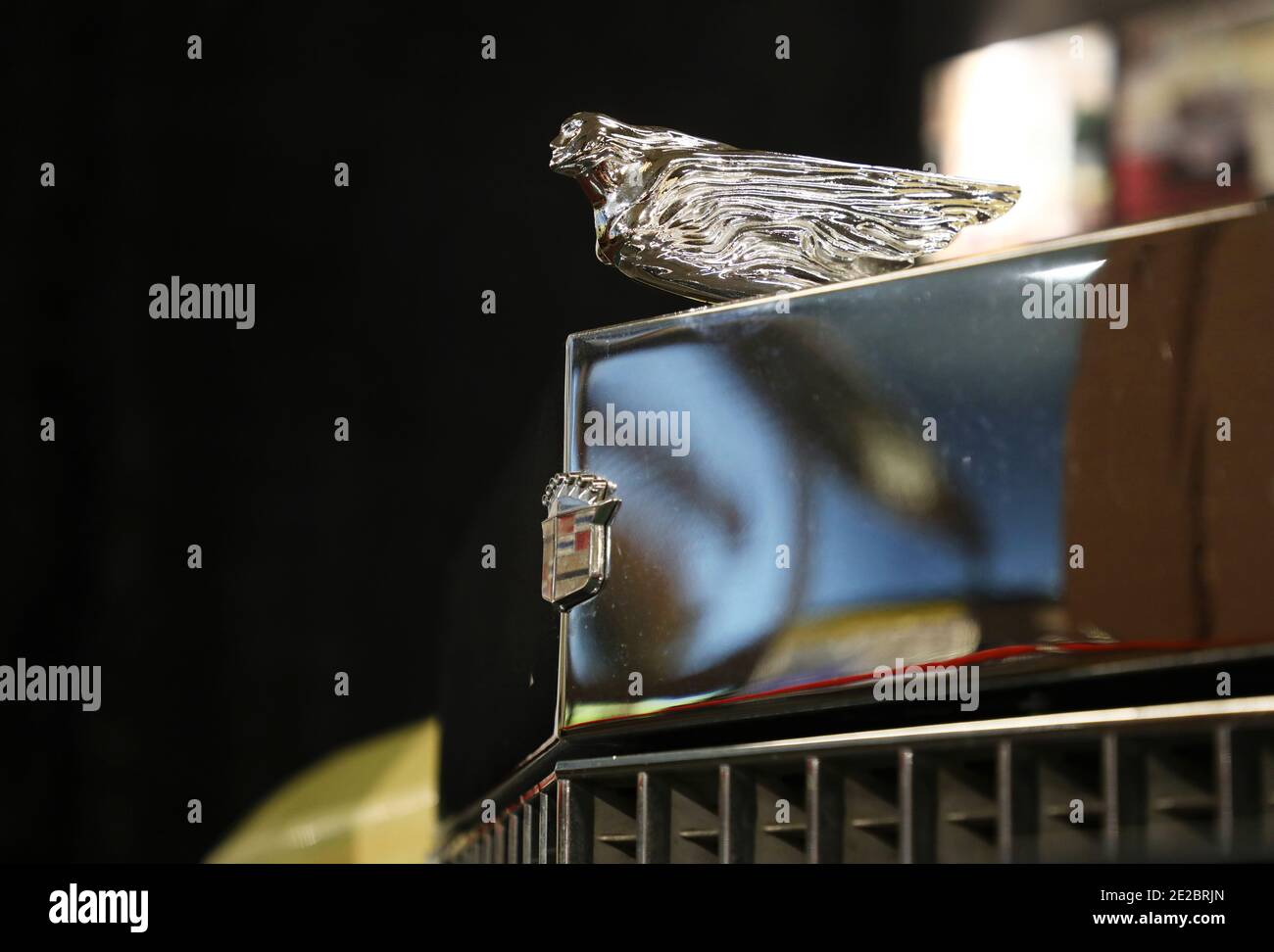 MOTALA, SCHWEDEN - 13. JANUAR 2021: Einer der letzten Cadillacs von Elvis steht zum Verkauf. Das Auto, ein Fleetwood Brougham von 1975 Modell, ist jetzt auf dem Display im Motala Motor Museum. Stockfoto MOTALA, SCHWEDEN - 13. JANUAR 2021: Einer der letzten Cadillacs von Elvis steht zum Verkauf. Das Auto, ein Fleetwood Brougham von 1975 Modell, ist jetzt auf dem Display im Motala Motor Museum. Stockfoto