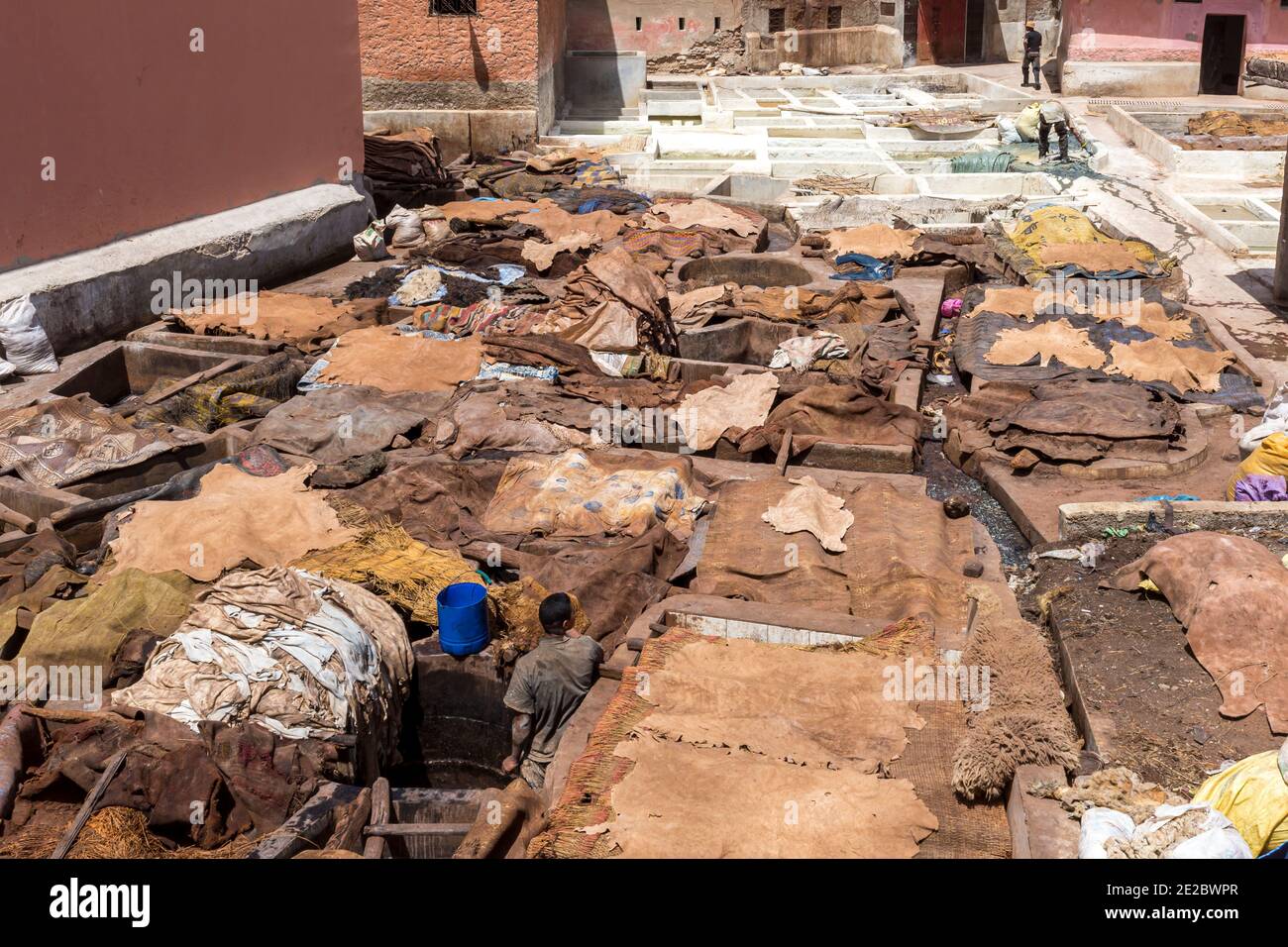 Tierhäute trocknen auf dem Dach in Marrakesch, Marokko Stockfoto