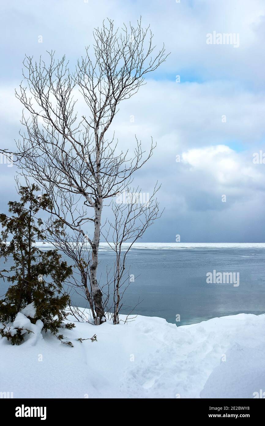 The Grotto, Bruce Peninsula National Park. Tobermory, Ontario, Kanada. Stockfoto