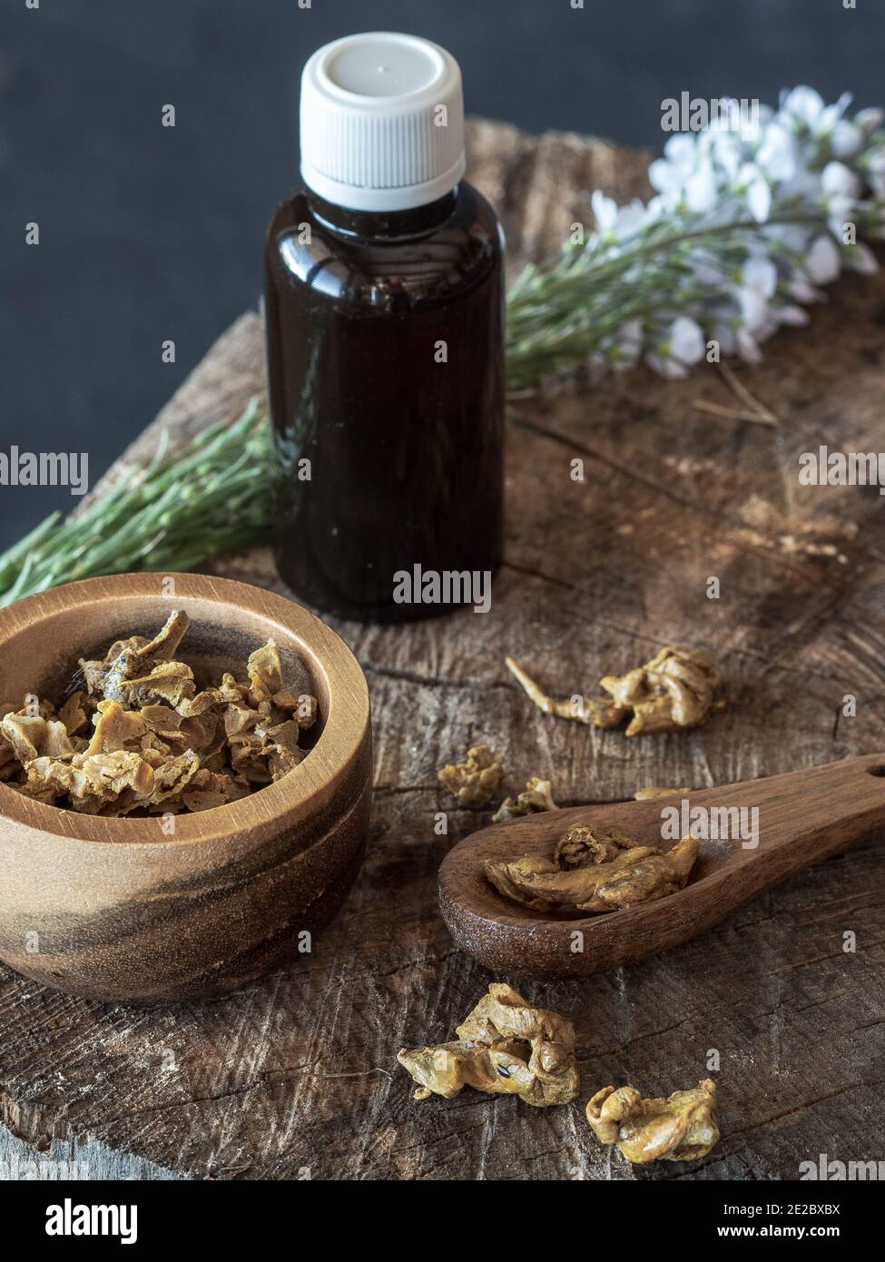 Fläschchen von Propolis, blühende Blumen, Holzschale und Spon von Propolis Granulat auf Stück Holz. Stockfoto