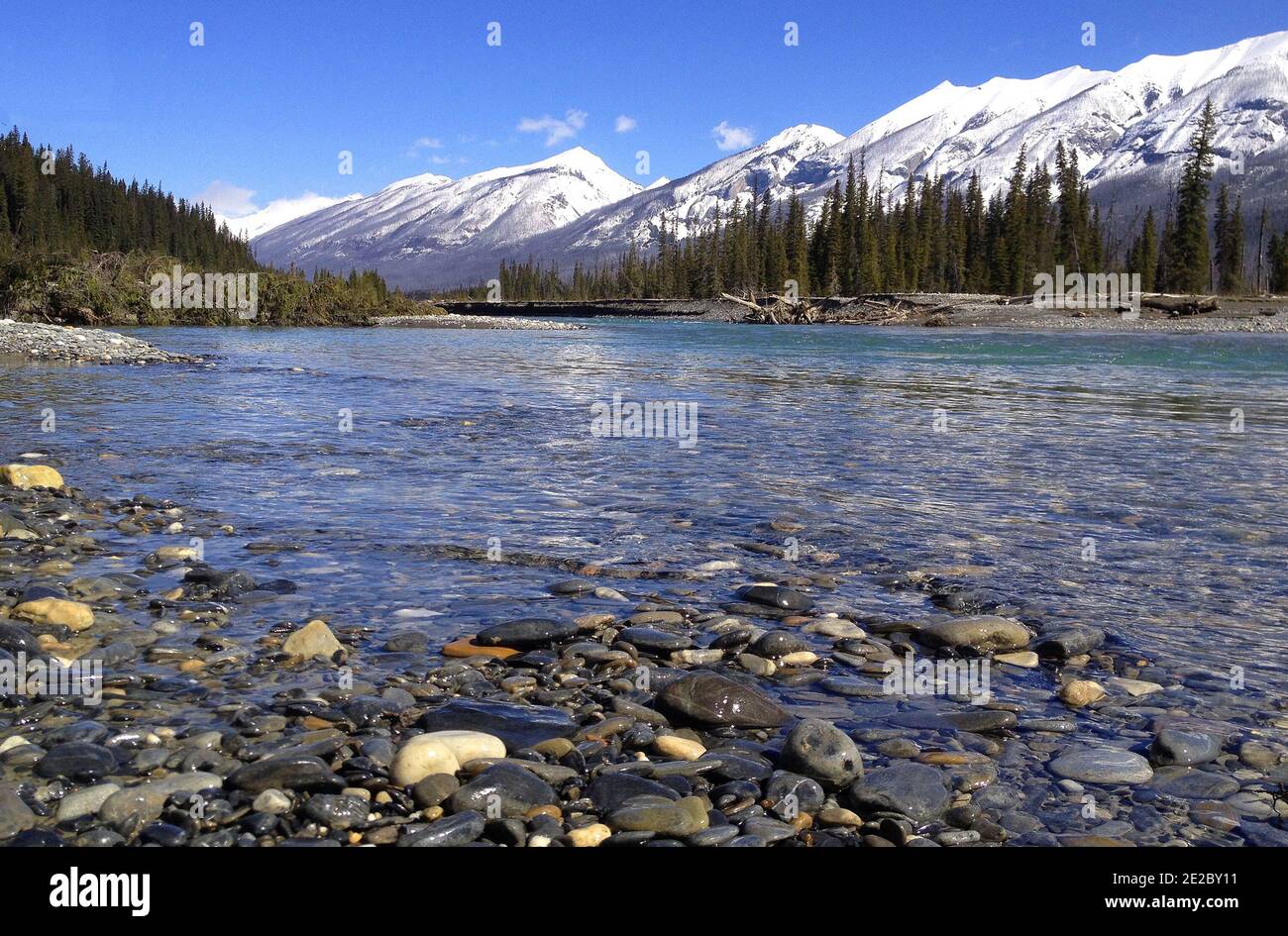 Kootenay River in der Nähe des Highway 93. Rocky Mountains, Kanada. Im Vordergrund nasse Kieselsteine. Die herrlichen schneebedeckten kanadischen Rockies im Hintergrund Stockfoto