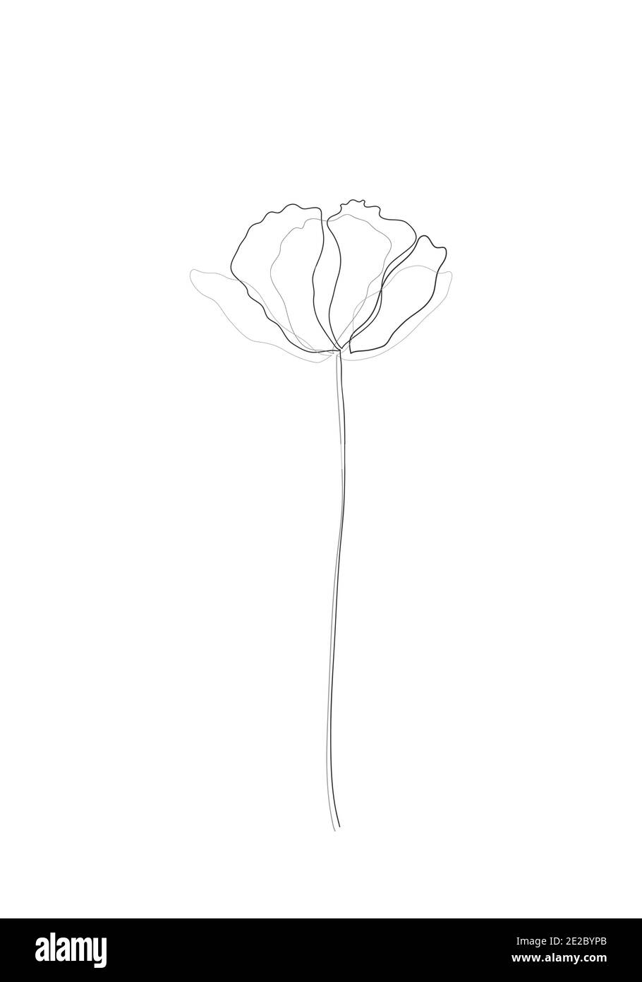 Linie Art-Poppy Blume minimalistischen Kontur Zeichnung. Eine Linie Kunstwerk, Blumenmuster für Design lineare Kunst auf weißem Hintergrund. Stockfoto