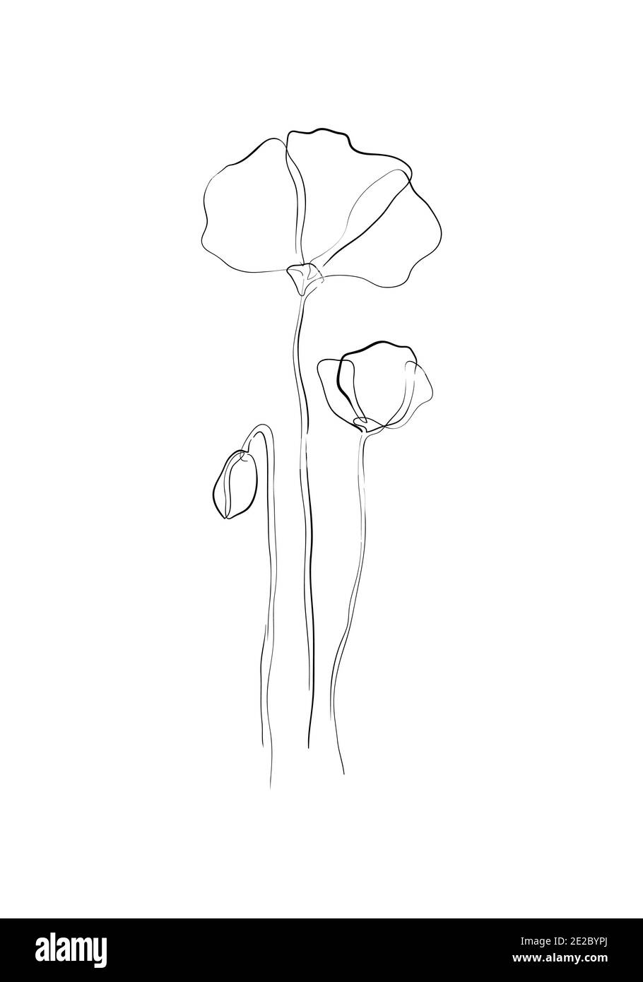 Linie Art-Poppy Blume minimalistischen Kontur Zeichnung. Eine Linie Kunstwerk, Blumenmuster für Design lineare Kunst auf weißem Hintergrund. Stockfoto
