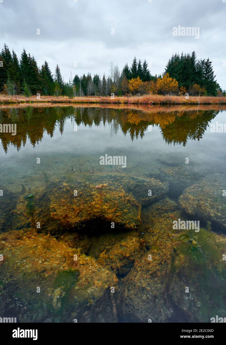 Felsiger Grund des ruhigen Teiches mit transparentem Wasser in der Nähe Küste mit Herbstwald gegen bewölkten Himmel Stockfoto