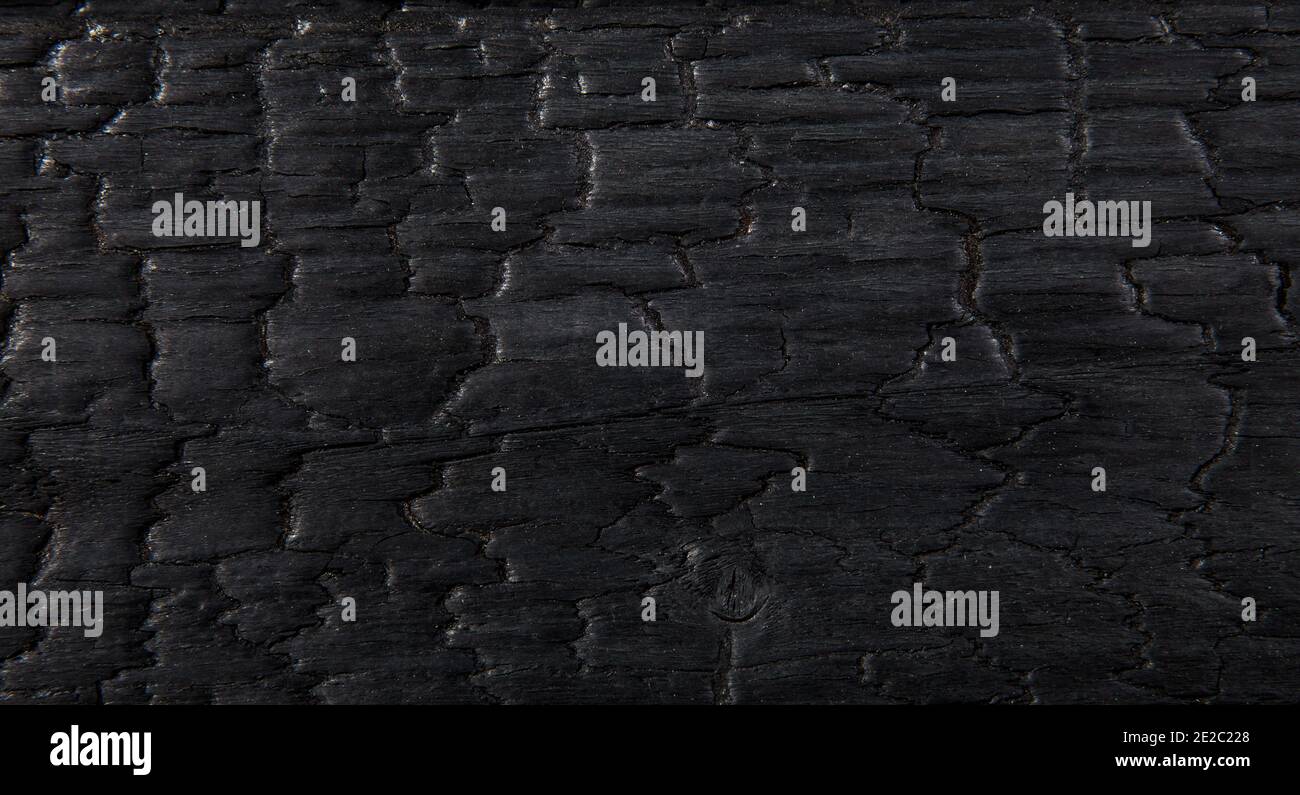 Moderne schwarze Farbe verbrannt verkohltes Holz Hintergrund. Flat Lay View Studioaufnahme. Stockfoto