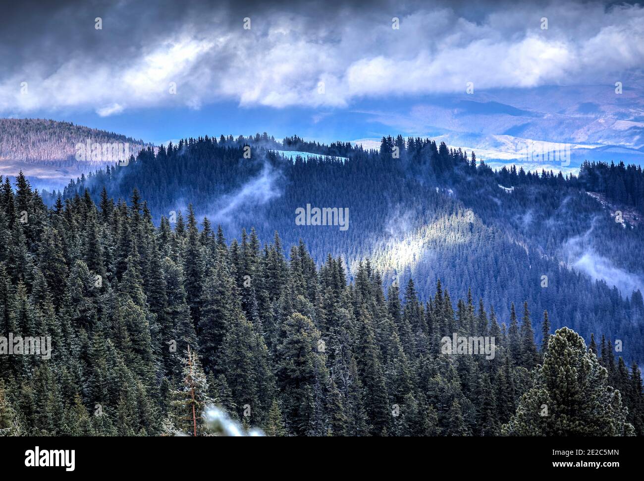 Alpenlandschaft mit Kiefernwald und dramatischer Wolkenlandschaft auf den Retezat Bergen. Foto aufgenommen am 2. Februar 2020 im Retezat Nationalpark, Roman Stockfoto