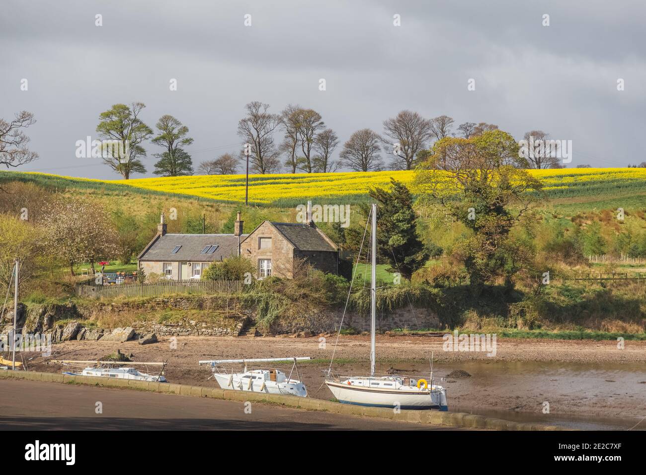 Malerisches Cramond im Frühling mit Rapsfeldern sorgt für einen schönen Besuch am Stadtrand von Edinburgh, Scotlad Stockfoto