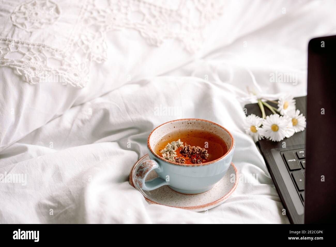 Laptop, eine Tasse Tee, weißes Bett und karierten. Sonnigen Morgen und Frühstück. Arbeiten Sie online in einem komfortablen Zuhause. Gemütliche helle room.work zu Hause Stockfoto