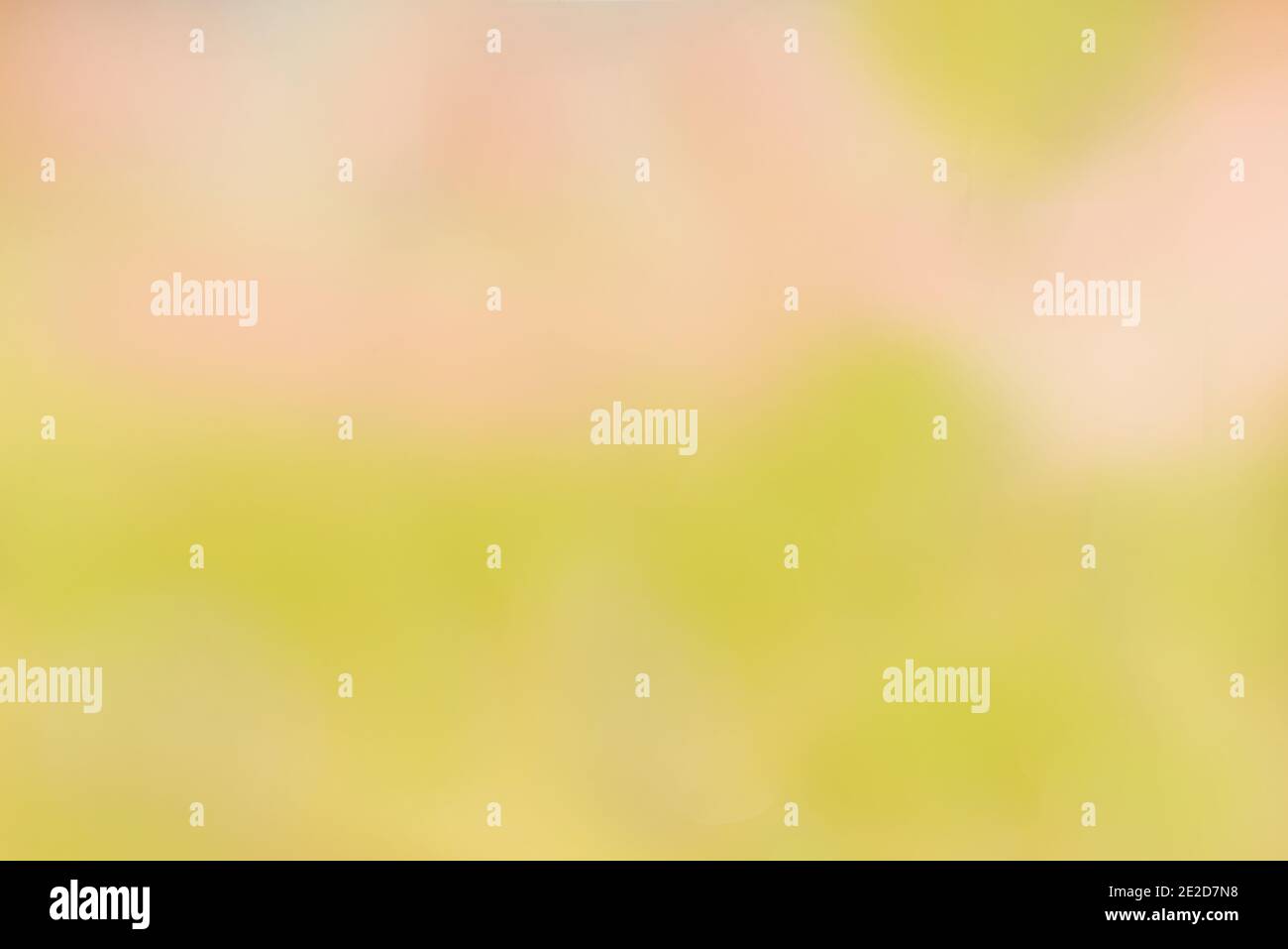 Bokeh-Hintergrund. Element des Designs.Pink grün Frühling Sommer Hintergrund. Juicy jungen grünen Gras in defocus.Beautiful Karte. Stockfoto