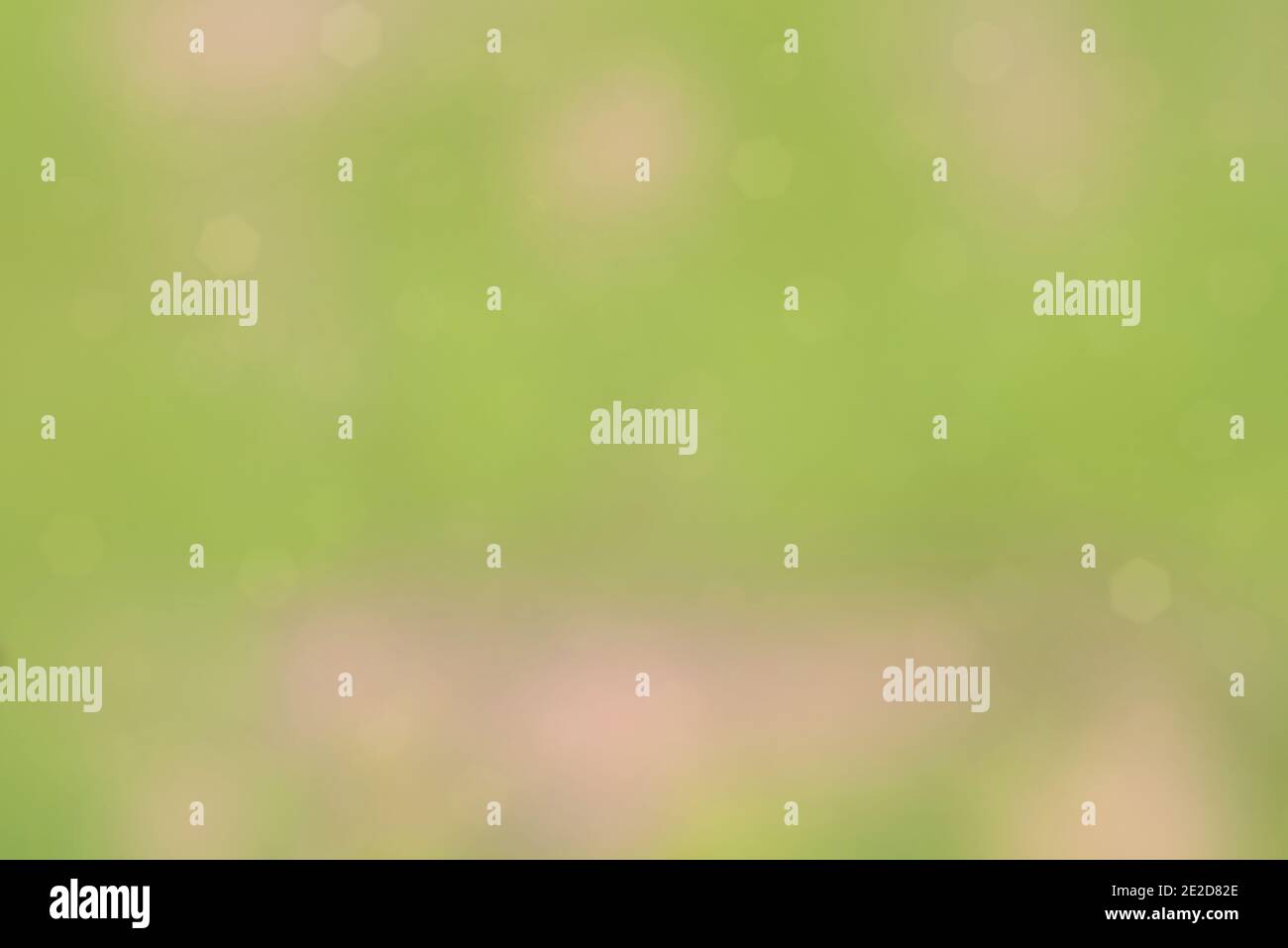 Bokeh-Hintergrund. Element des Designs. Frühling Sommer Hintergrund. Juicy jungen grünen Gras in defocus.Pink grünen Hintergrund. Stockfoto