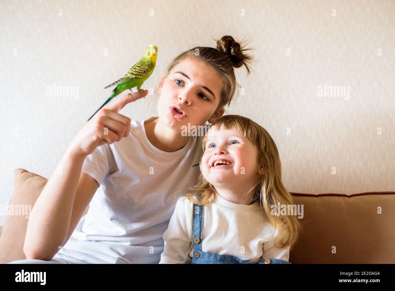 Glückliche Kinder spielen mit einem Papagei am Computer zwei Mädchen zu Hause im Gespräch mit einem Papagei. Haustier. Wellensittiche. Online-Beratung des Tierarztes Stockfoto