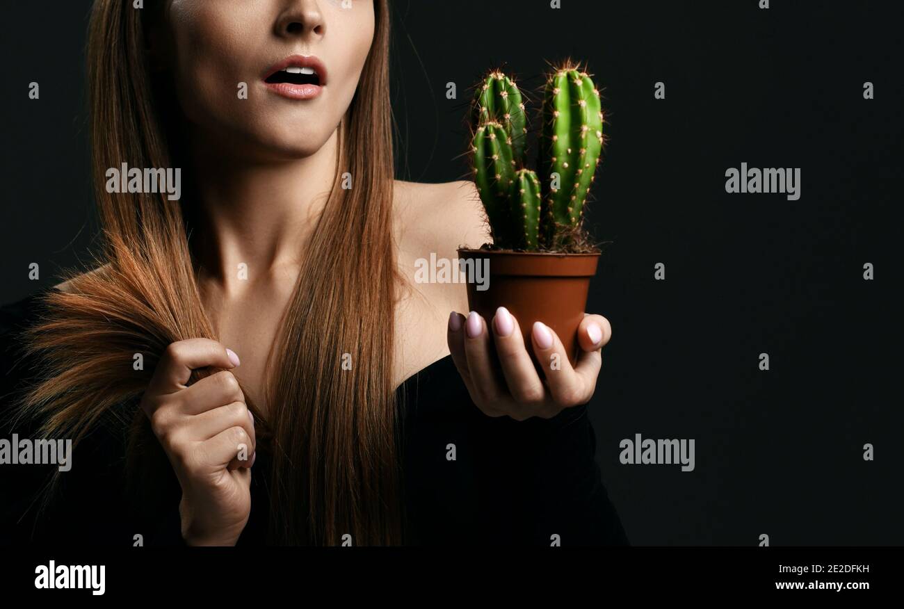 Frustrierte Frau mit langen seidig geraden Haaren in schwarzem Körper Kaktuspflanze im Topf halten und mit Spliss vergleichen Stockfoto