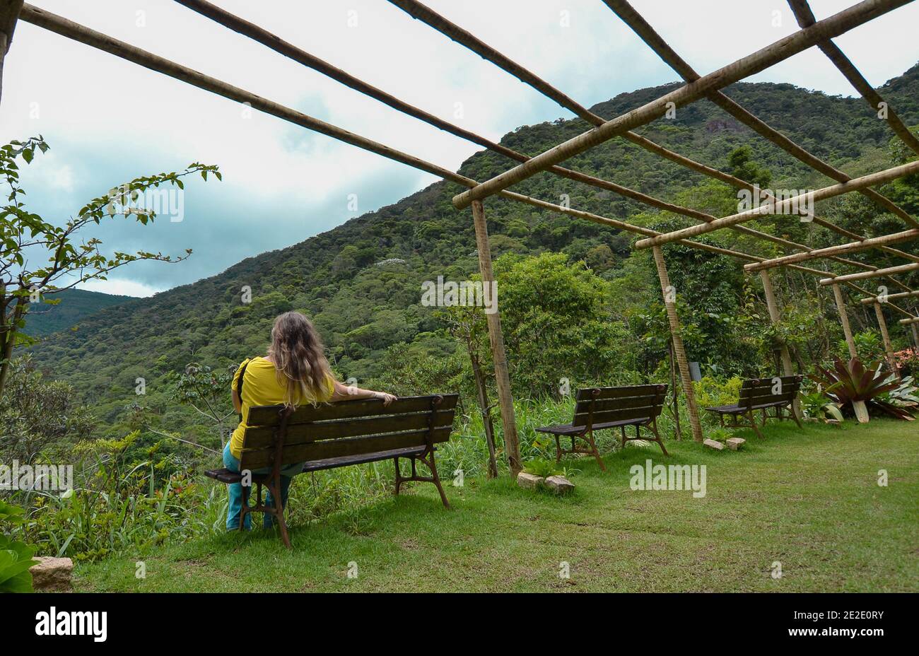 Frau, Blick auf den Horizont Stockfoto