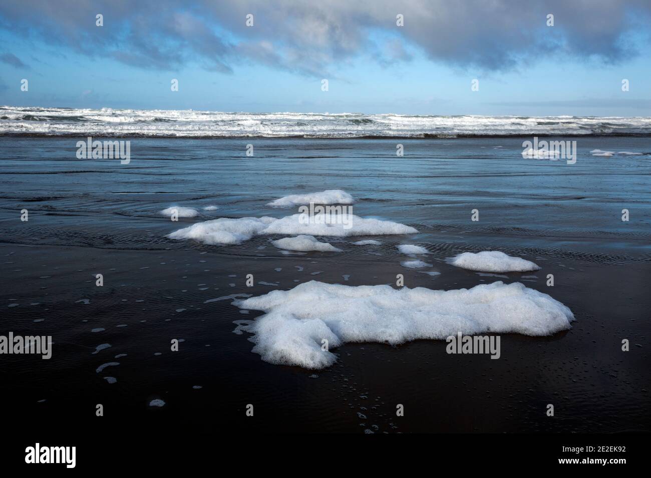 WA19116-00...WASHINGTON - Meeresschaum nach einem Sturm am Vortag nach Long Beach gewaschen. Stockfoto